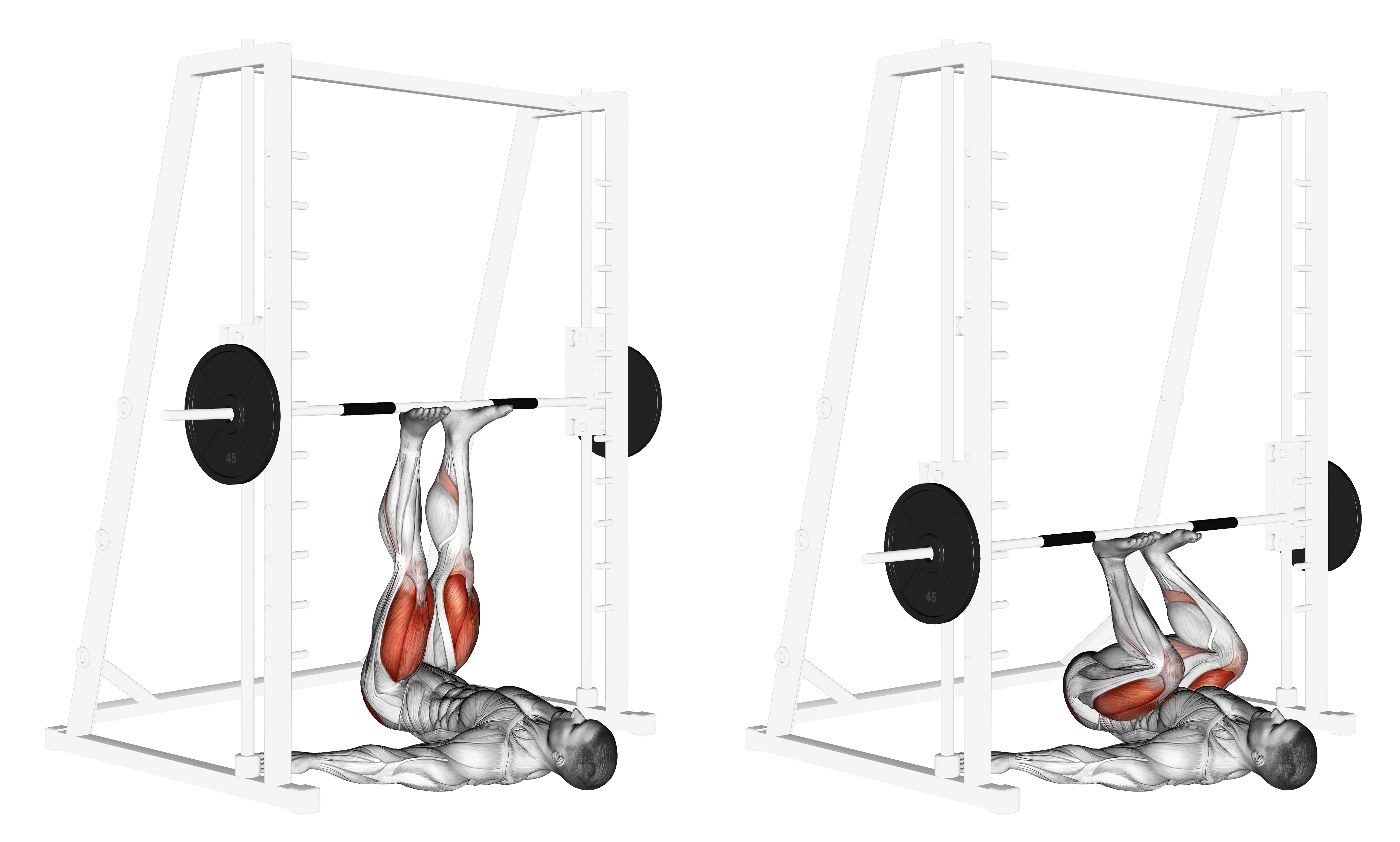 Smith Leg Press