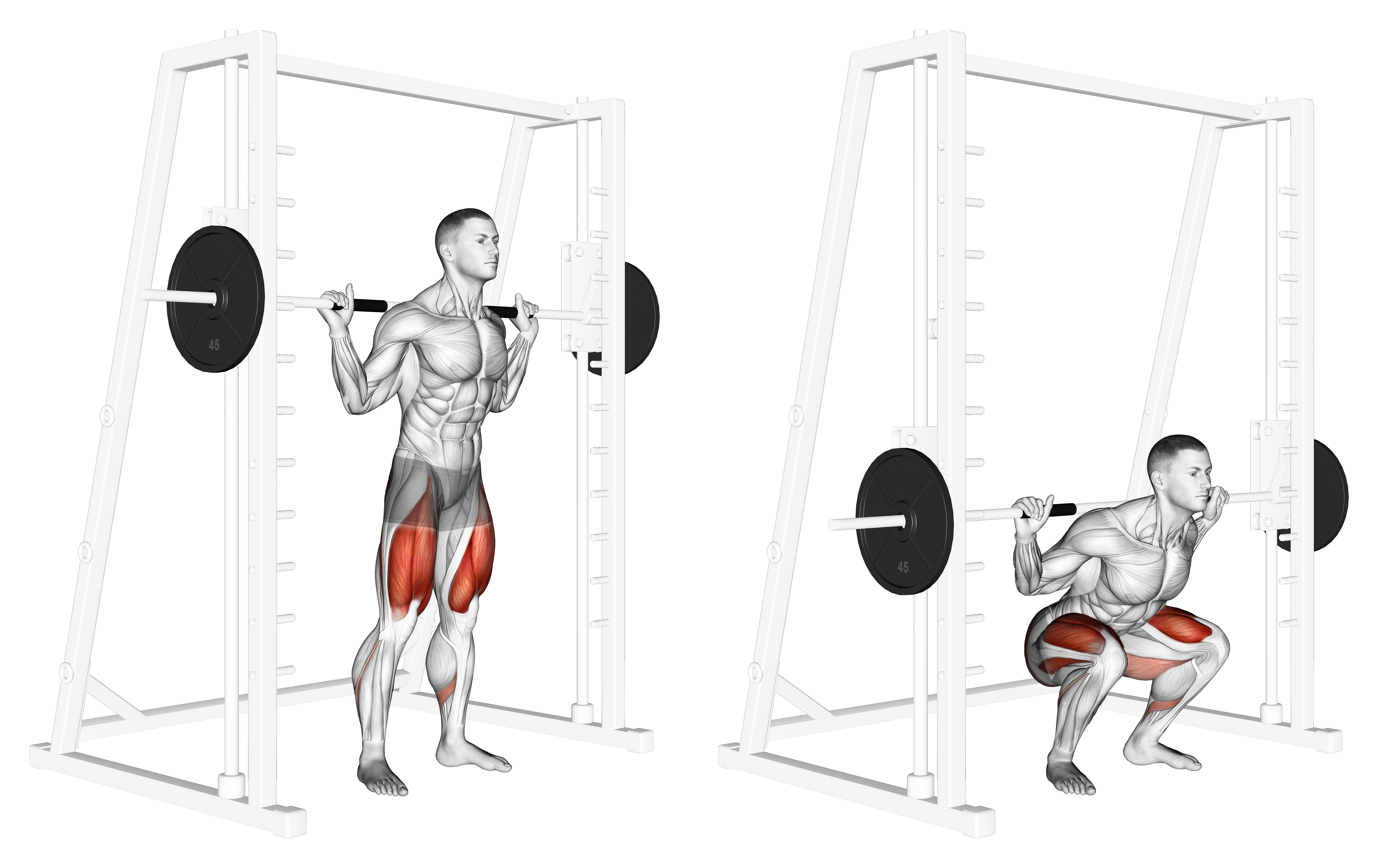 Smith Low Bar Squat