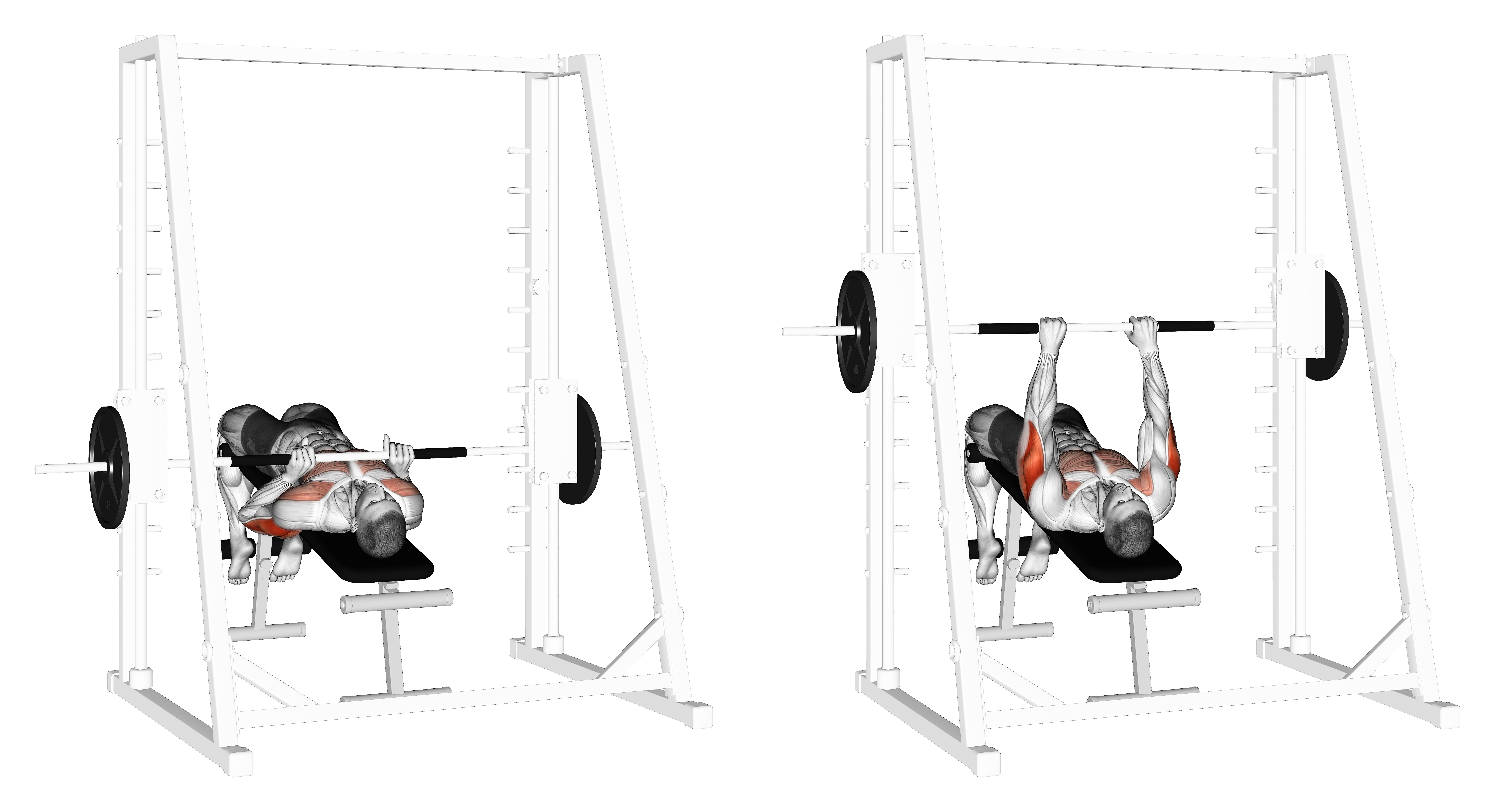 Smith Machine Decline Close Grip Bench Press