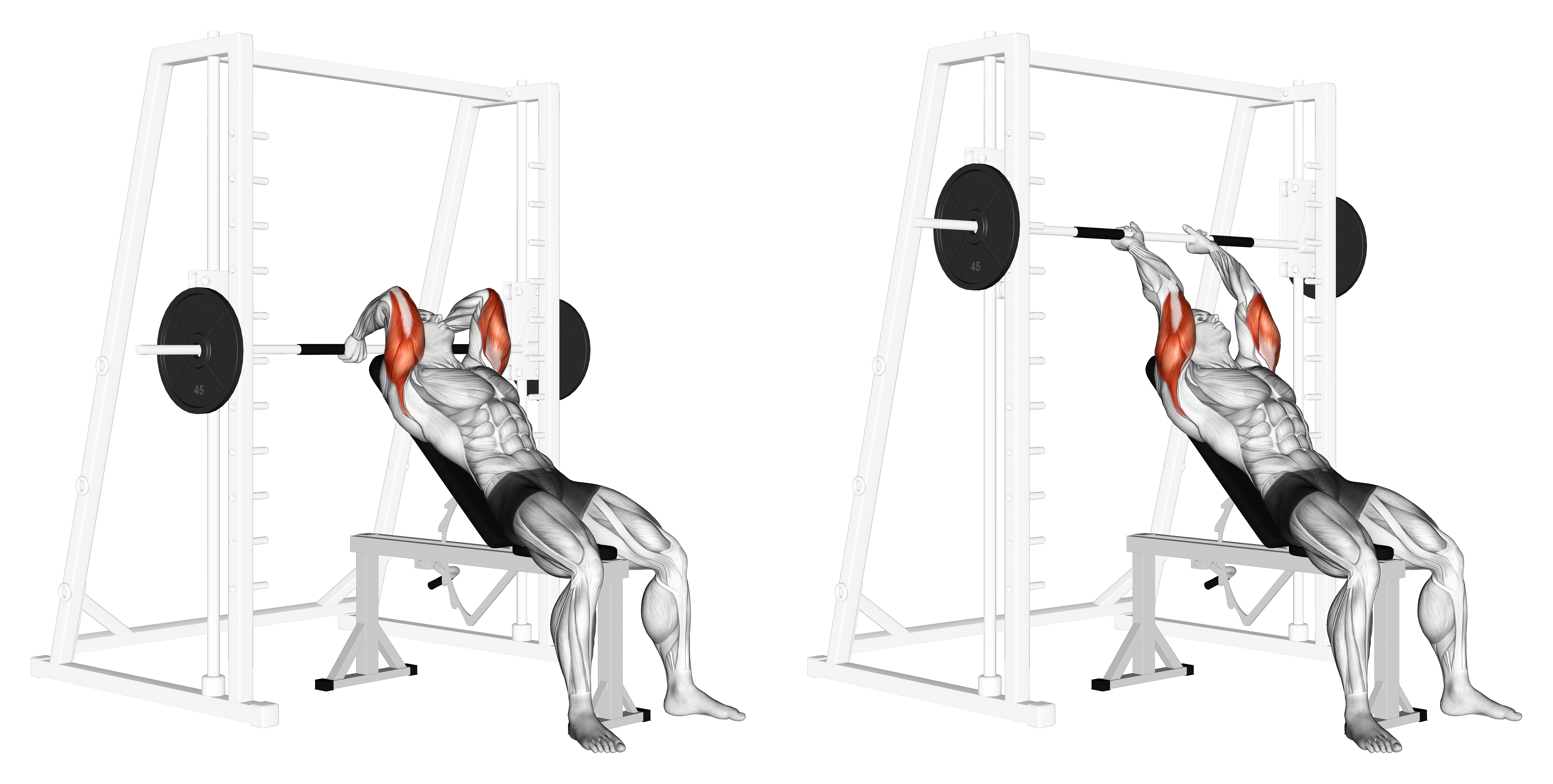 Smith Machine Incline Tricep Extension