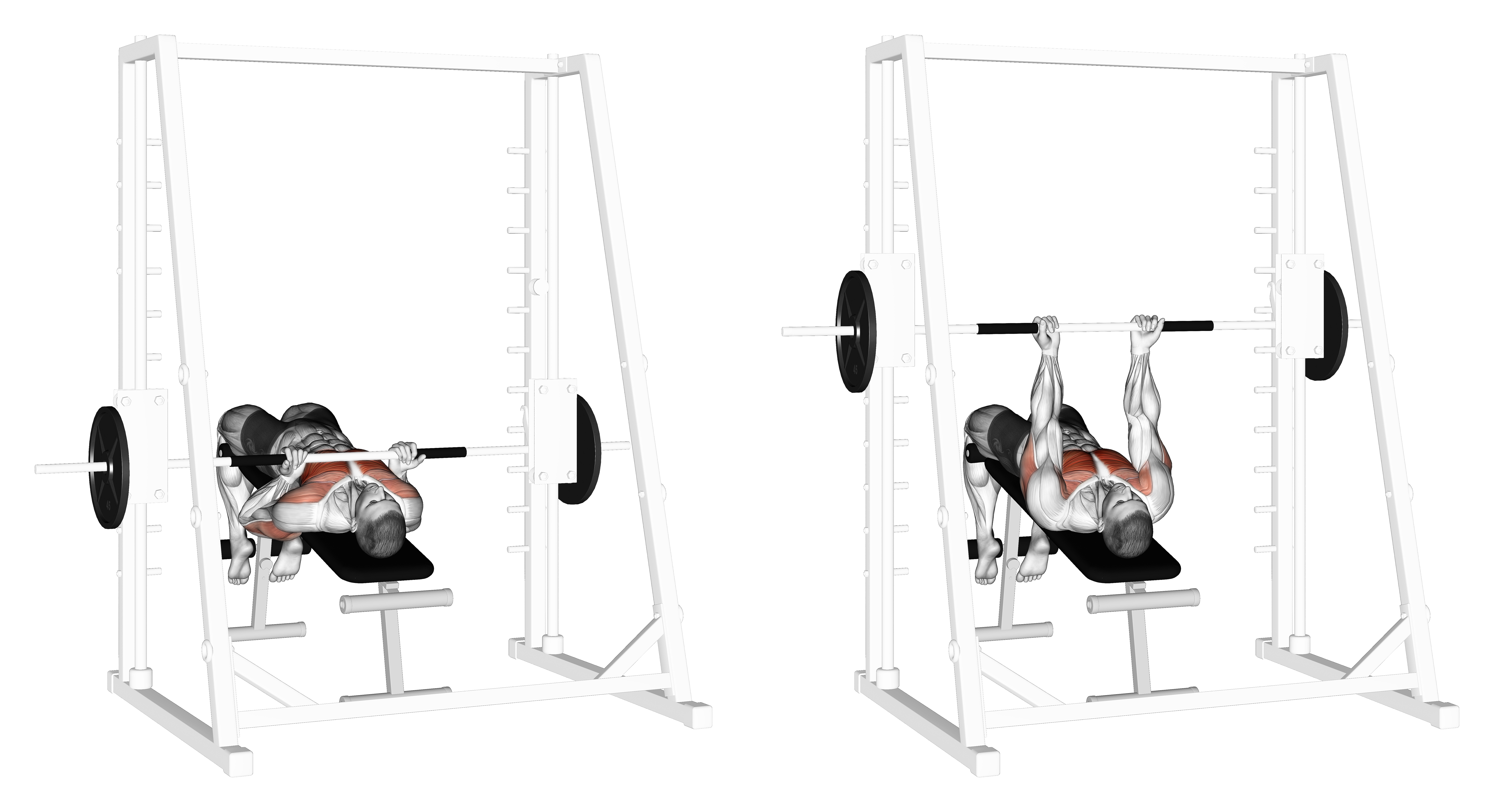 Smith Machine Reverse Decline Close Grip Bench Press