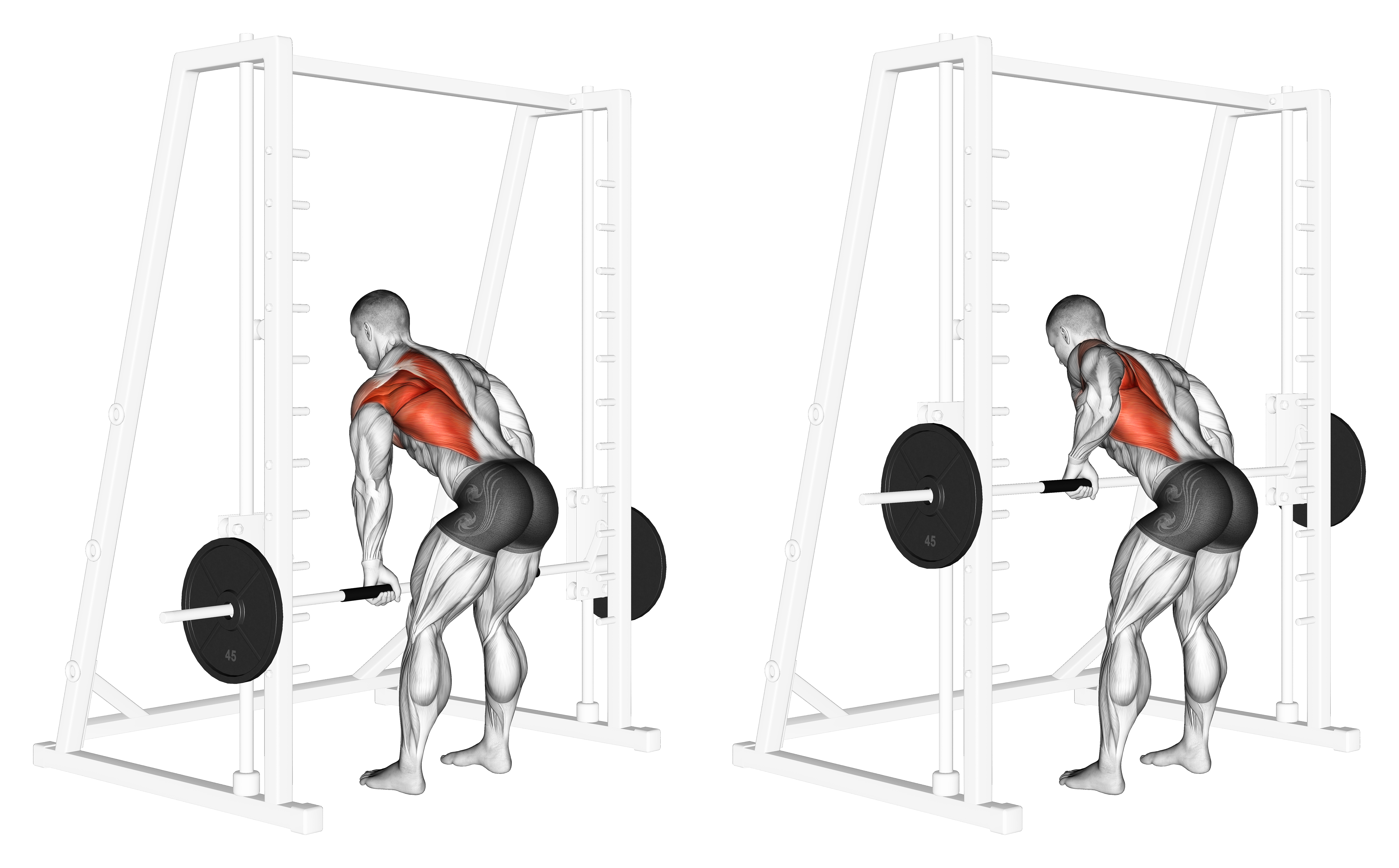 Smith One Arm Row