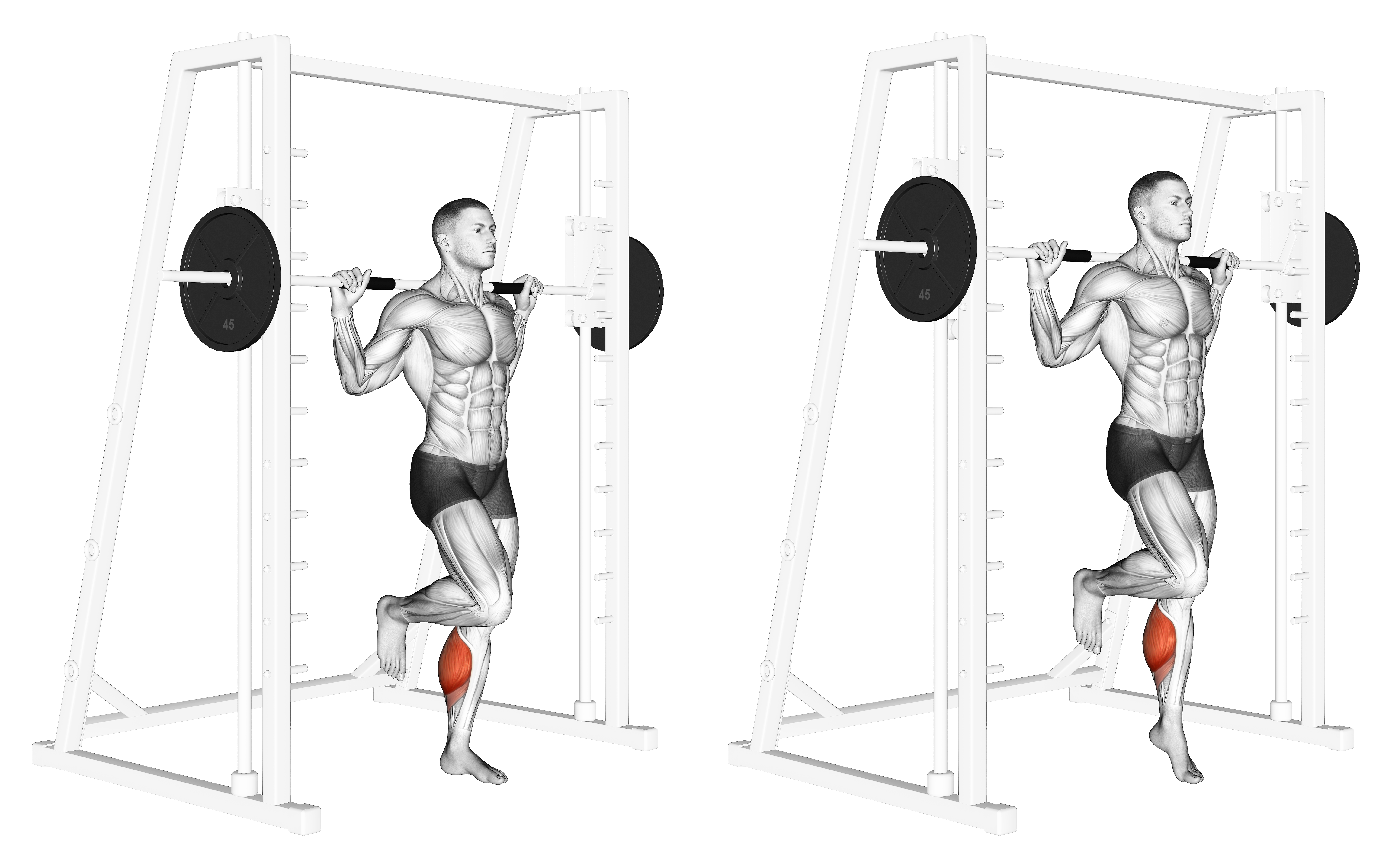 Smith One Leg Floor Calf Raise