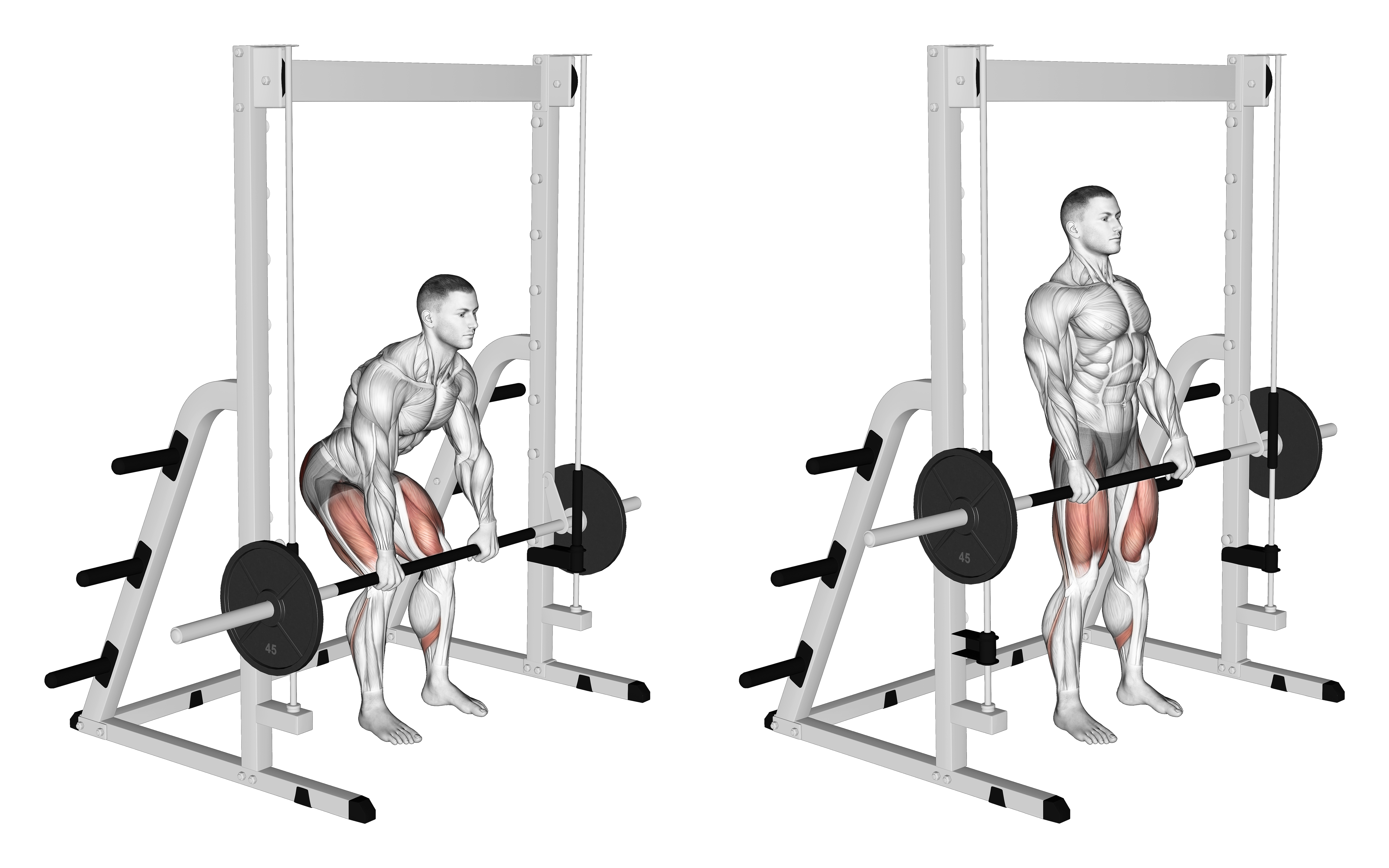 Smith Rack Pull