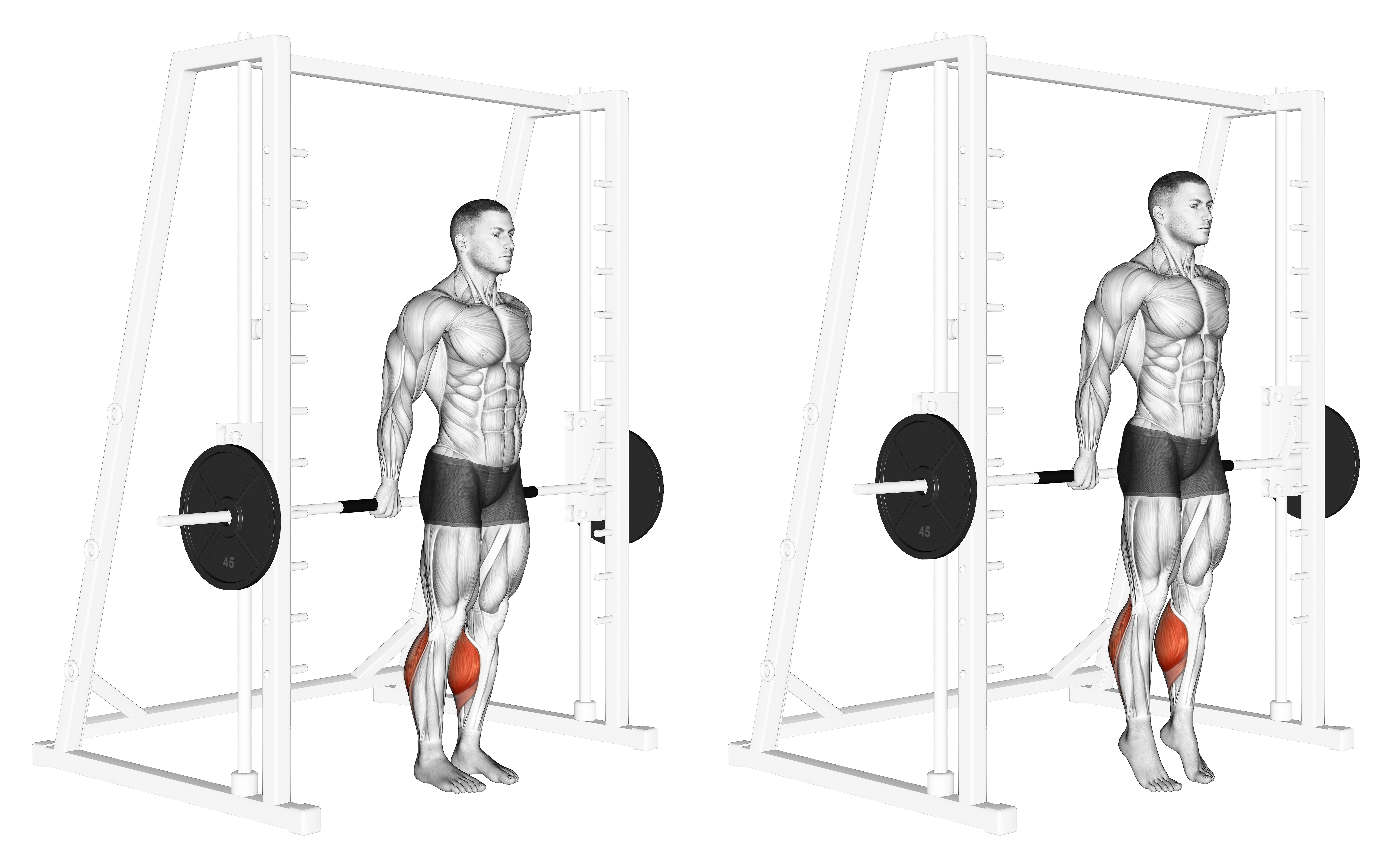 Smith Reverse Calf Raises