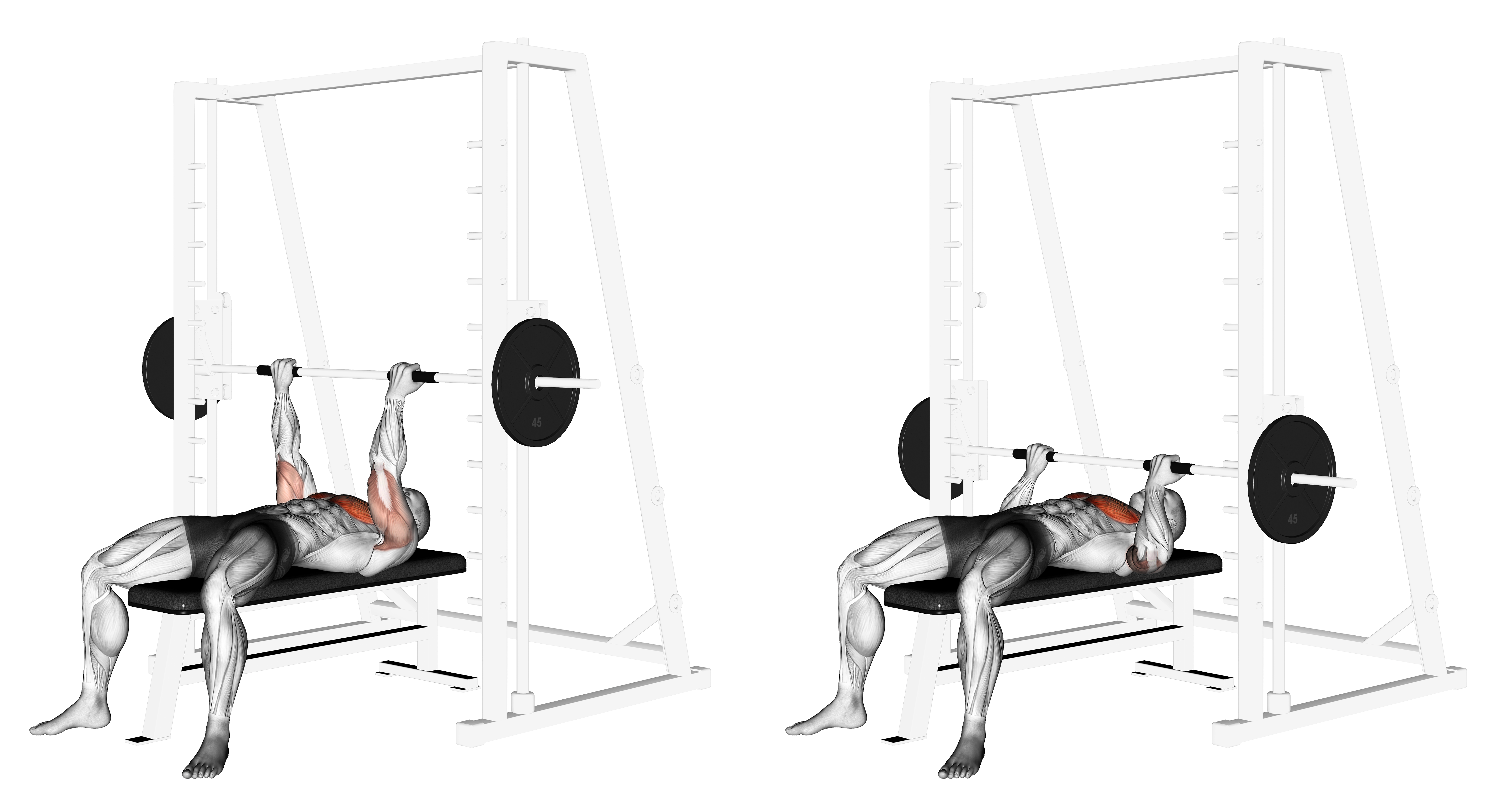 Smith Reverse Grip Press