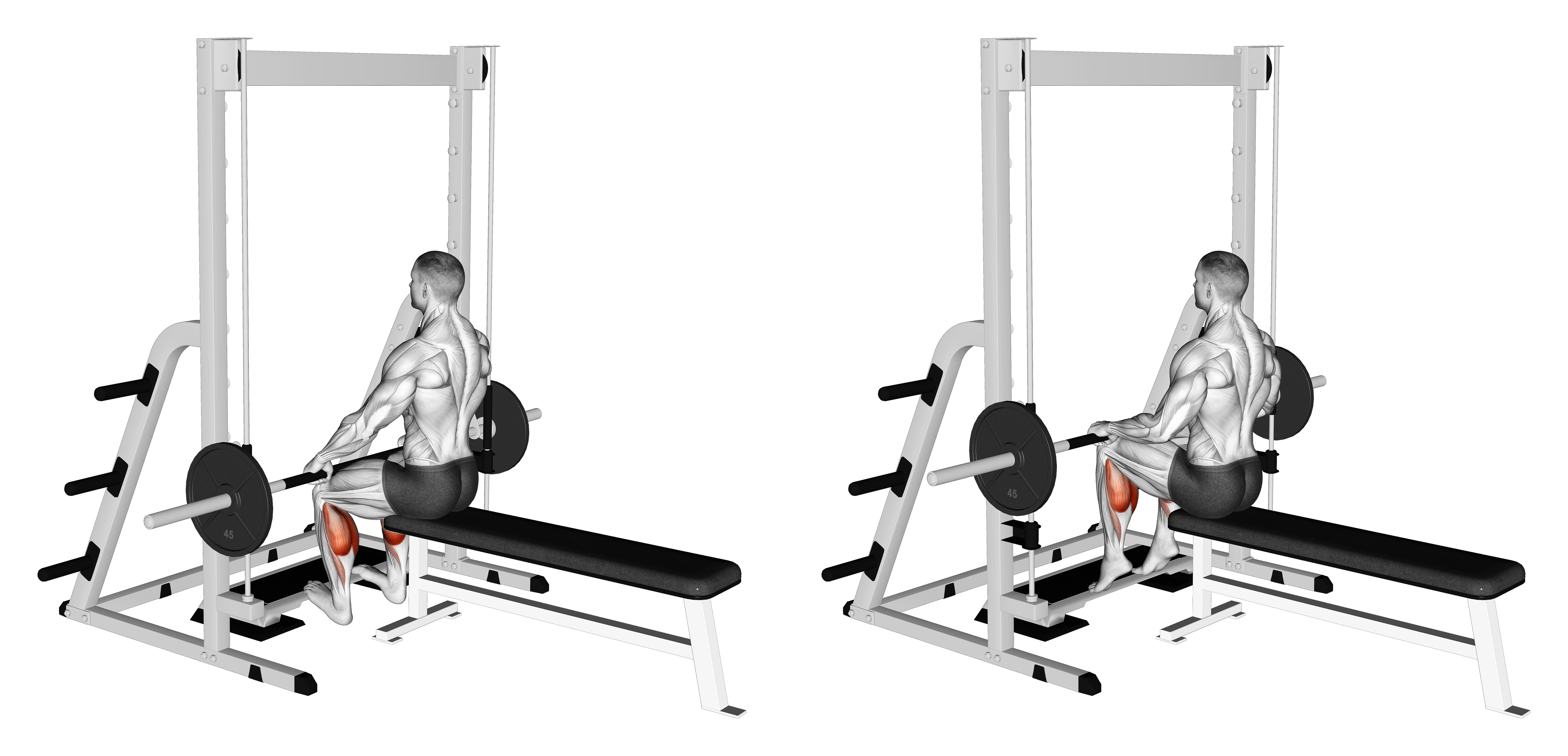 Smith Seated Calf Raise