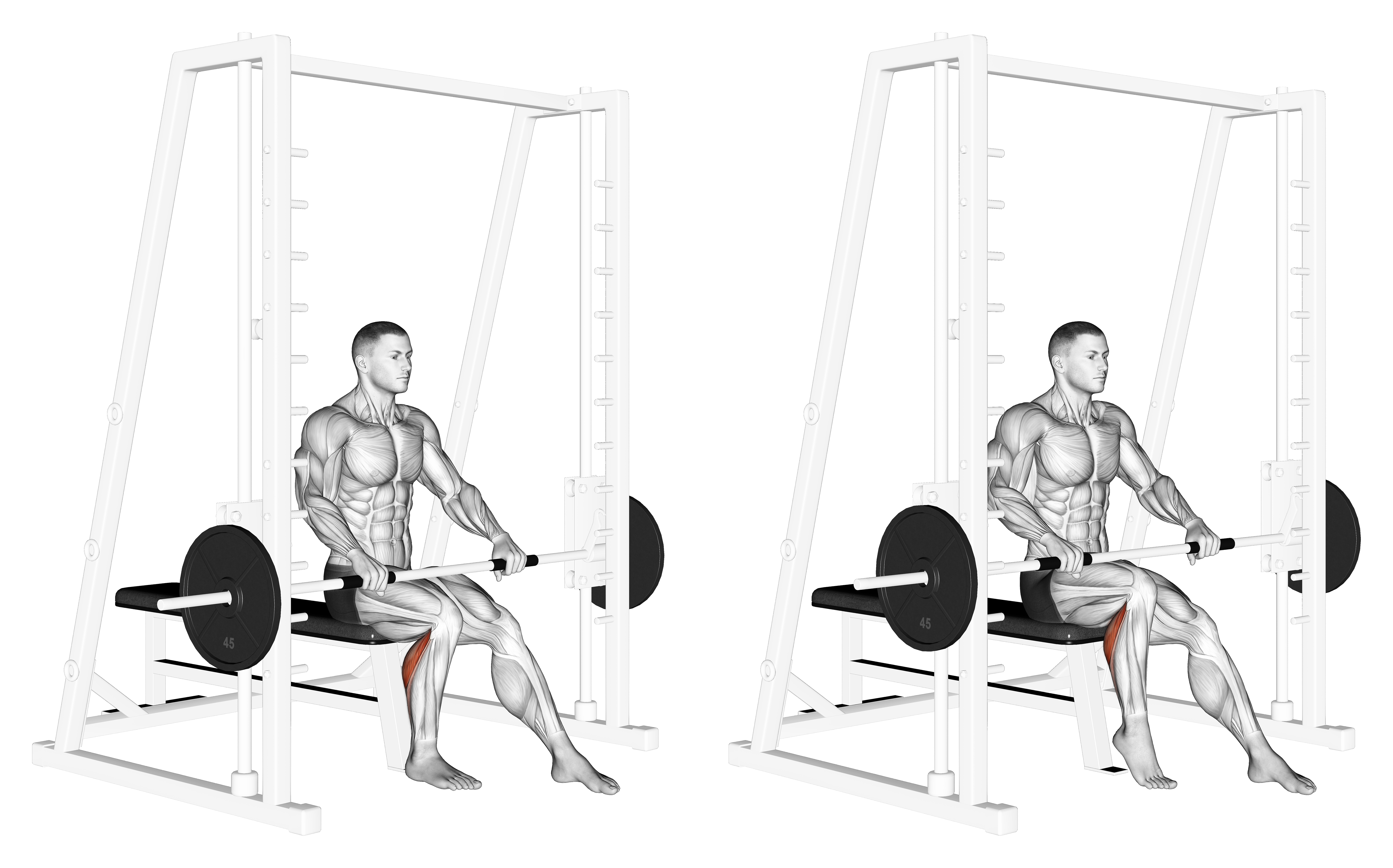 Smith Seated One Leg Calf Raise