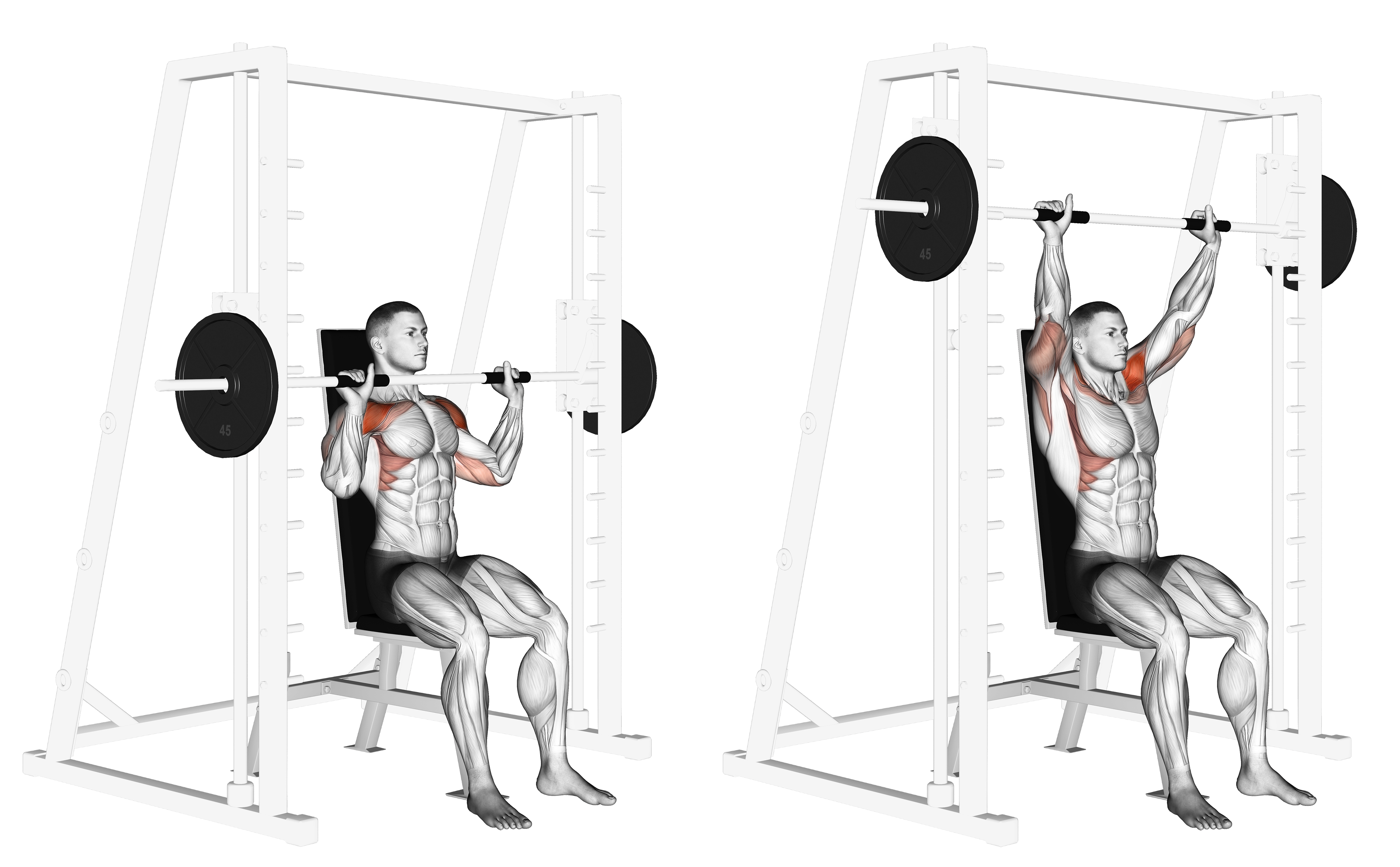 Smith Seated Shoulder Press