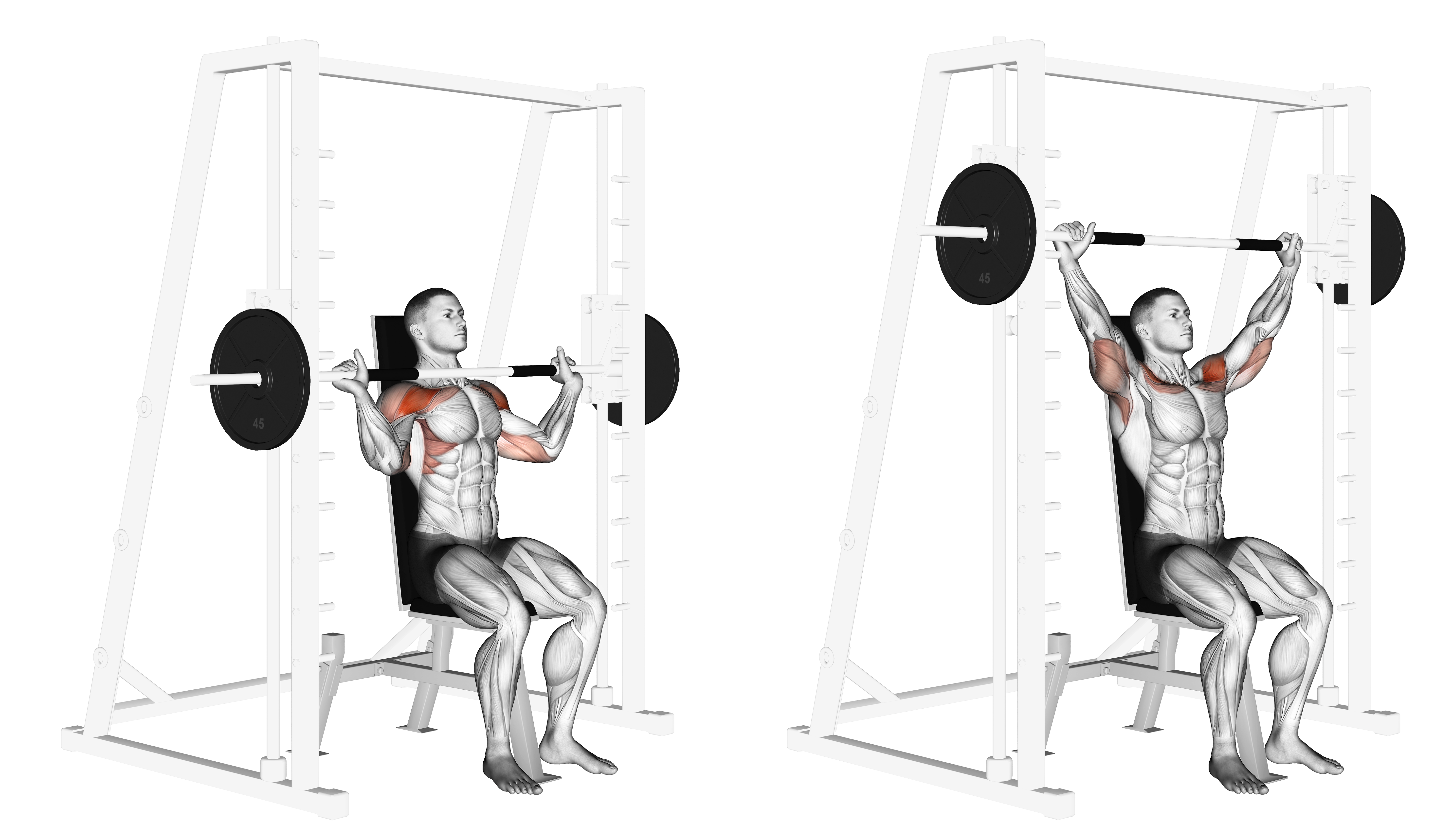 Smith Shoulder Press