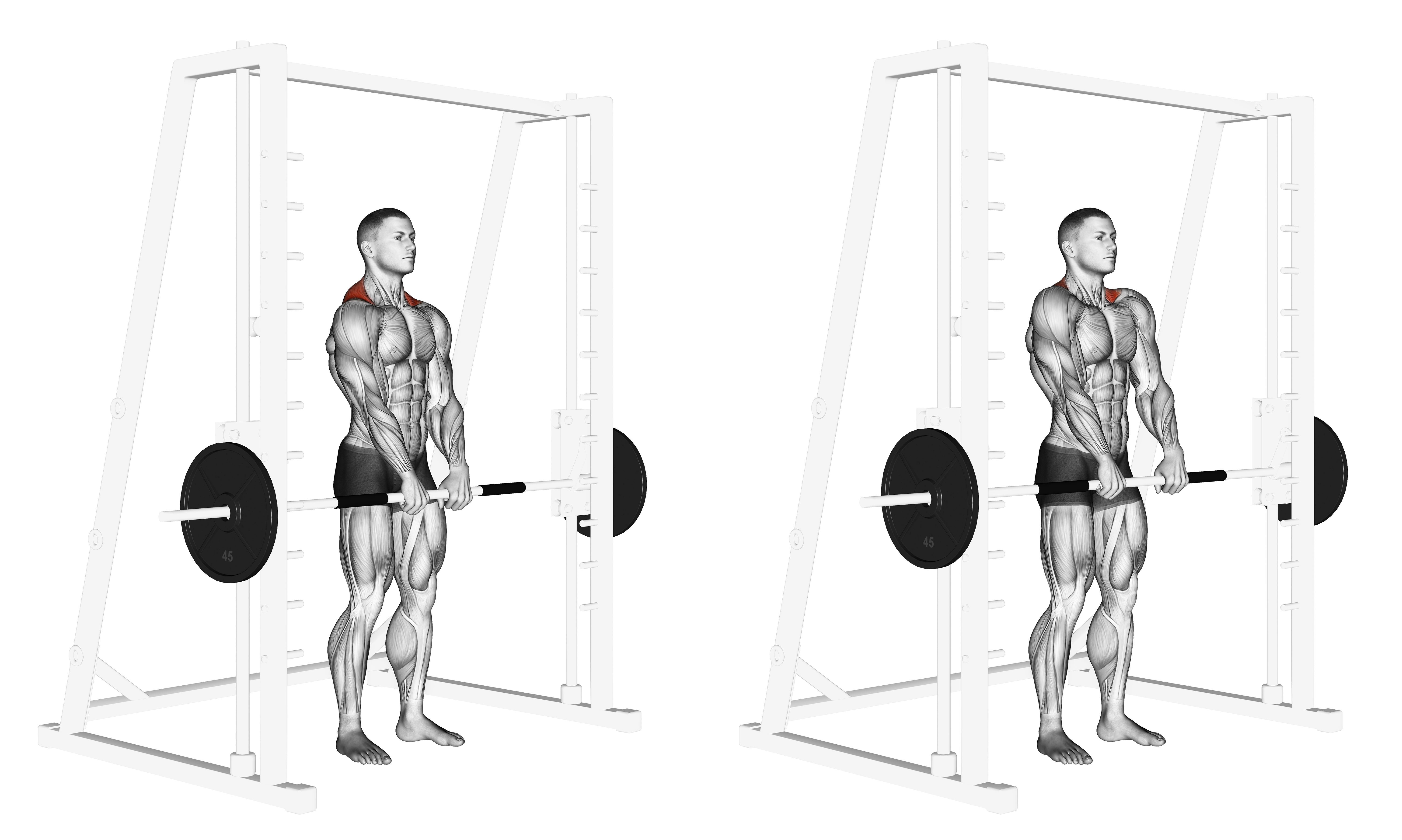Smith Shrug