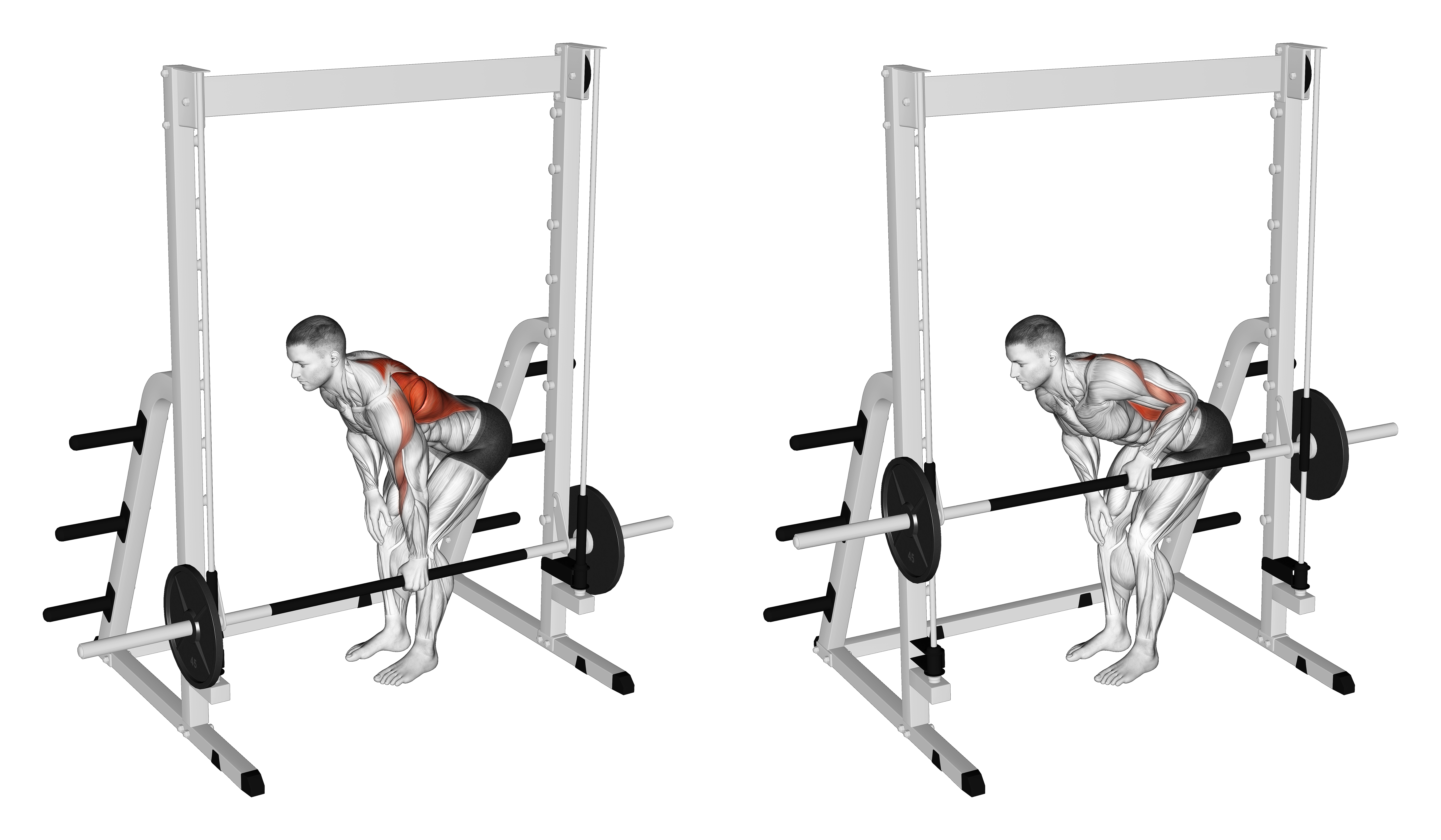 Smith Single Arm Bent Over Row