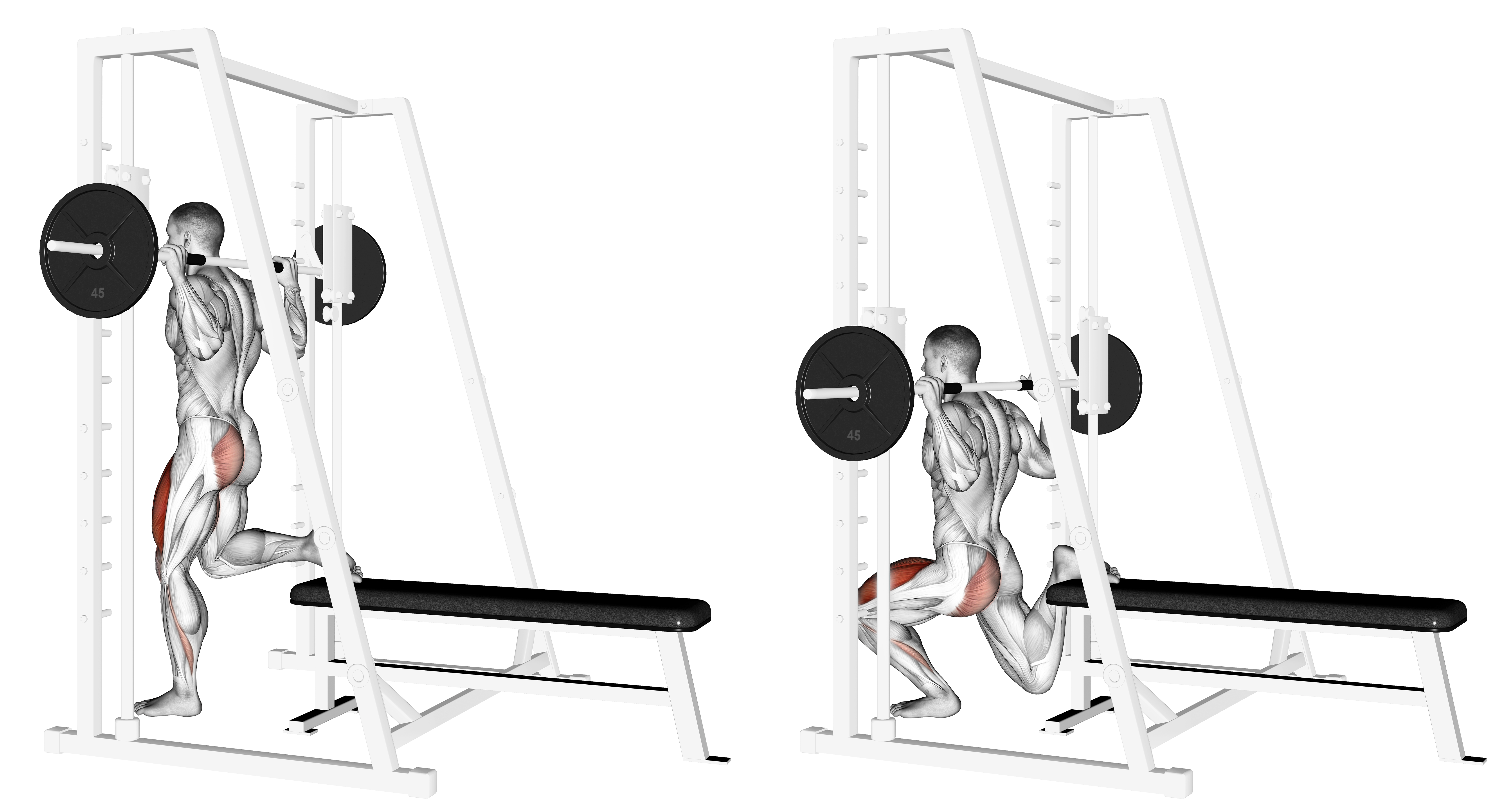 Smith Single Leg Split Squat