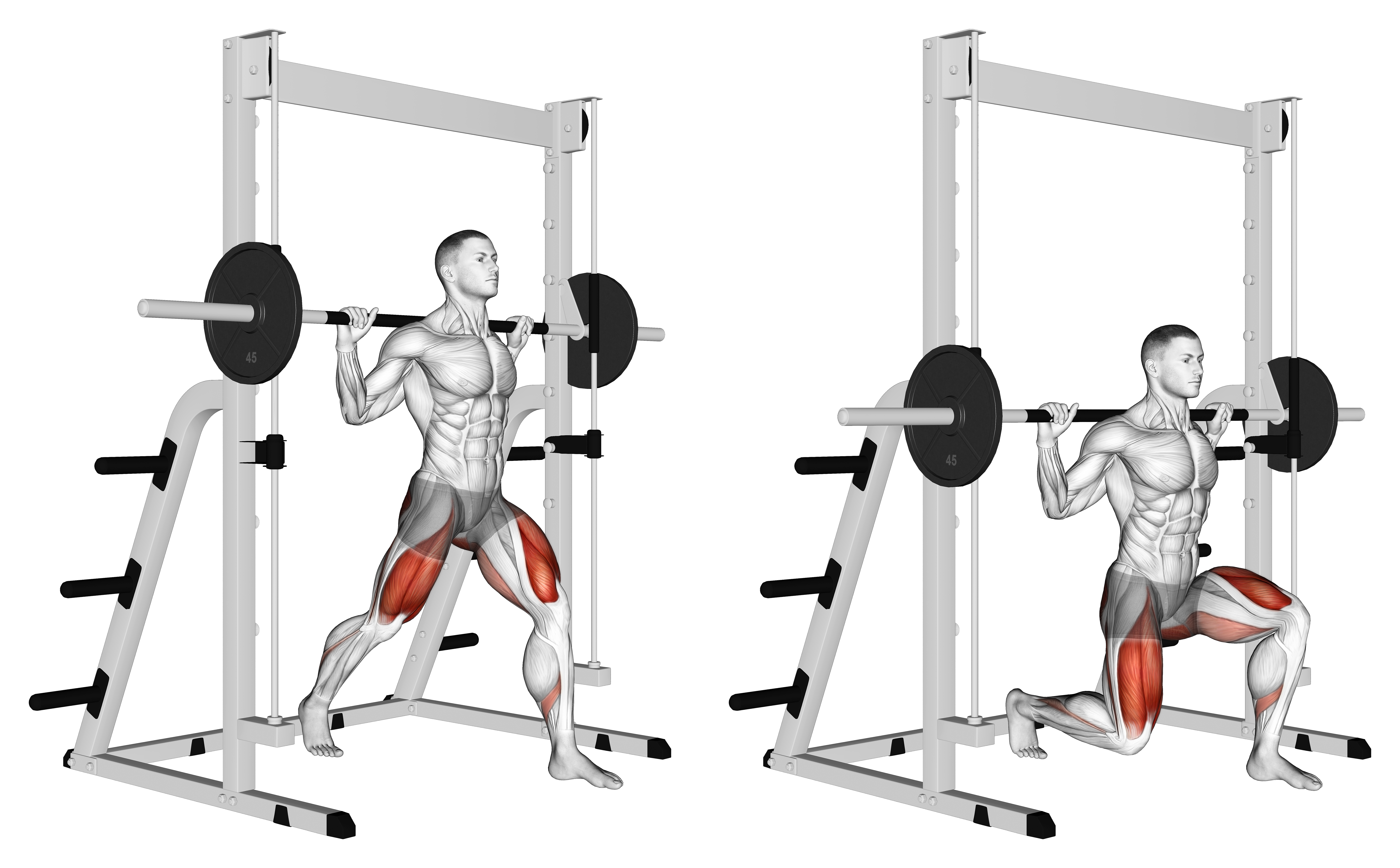 Smith Split Squat