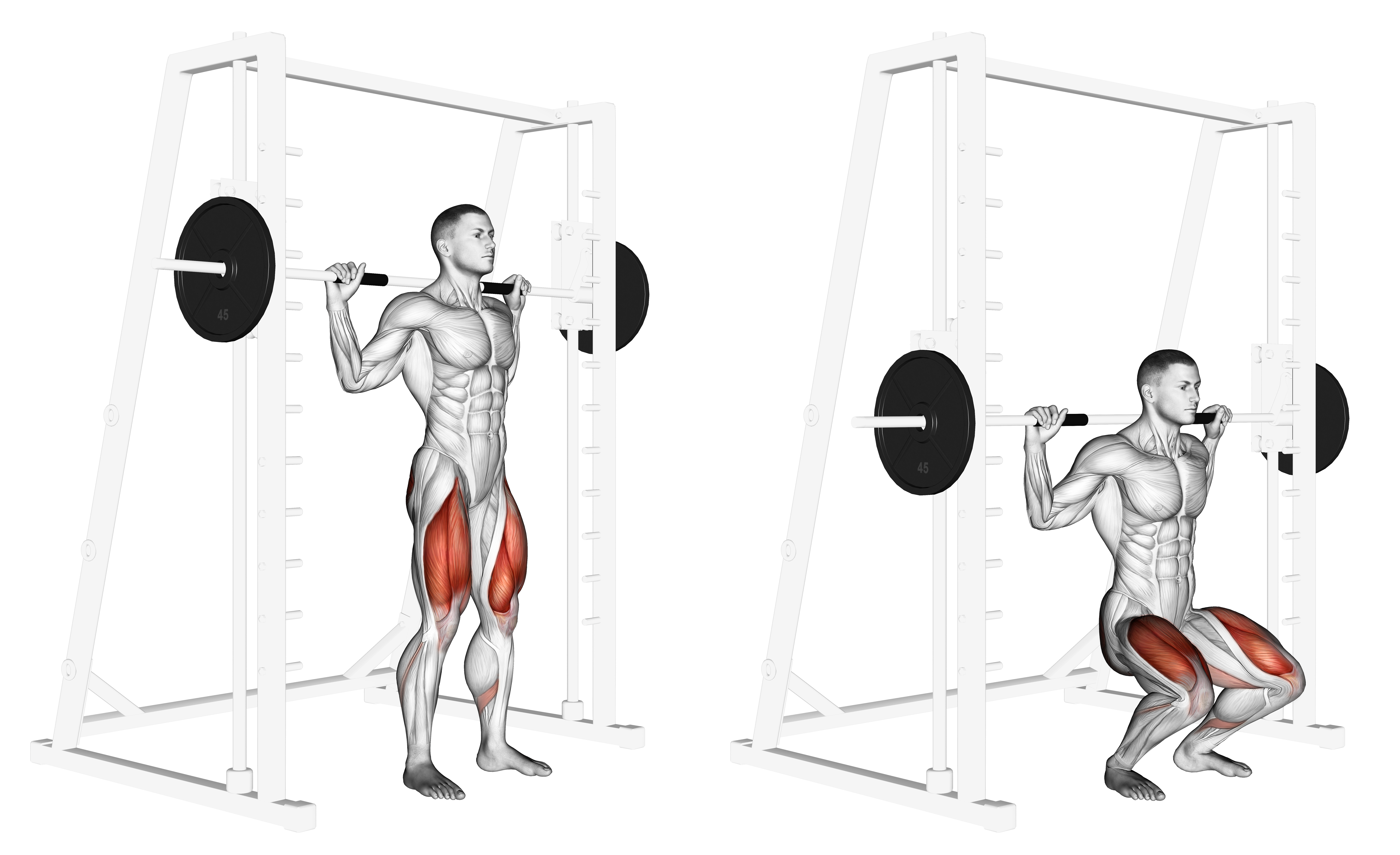 Smith Squat