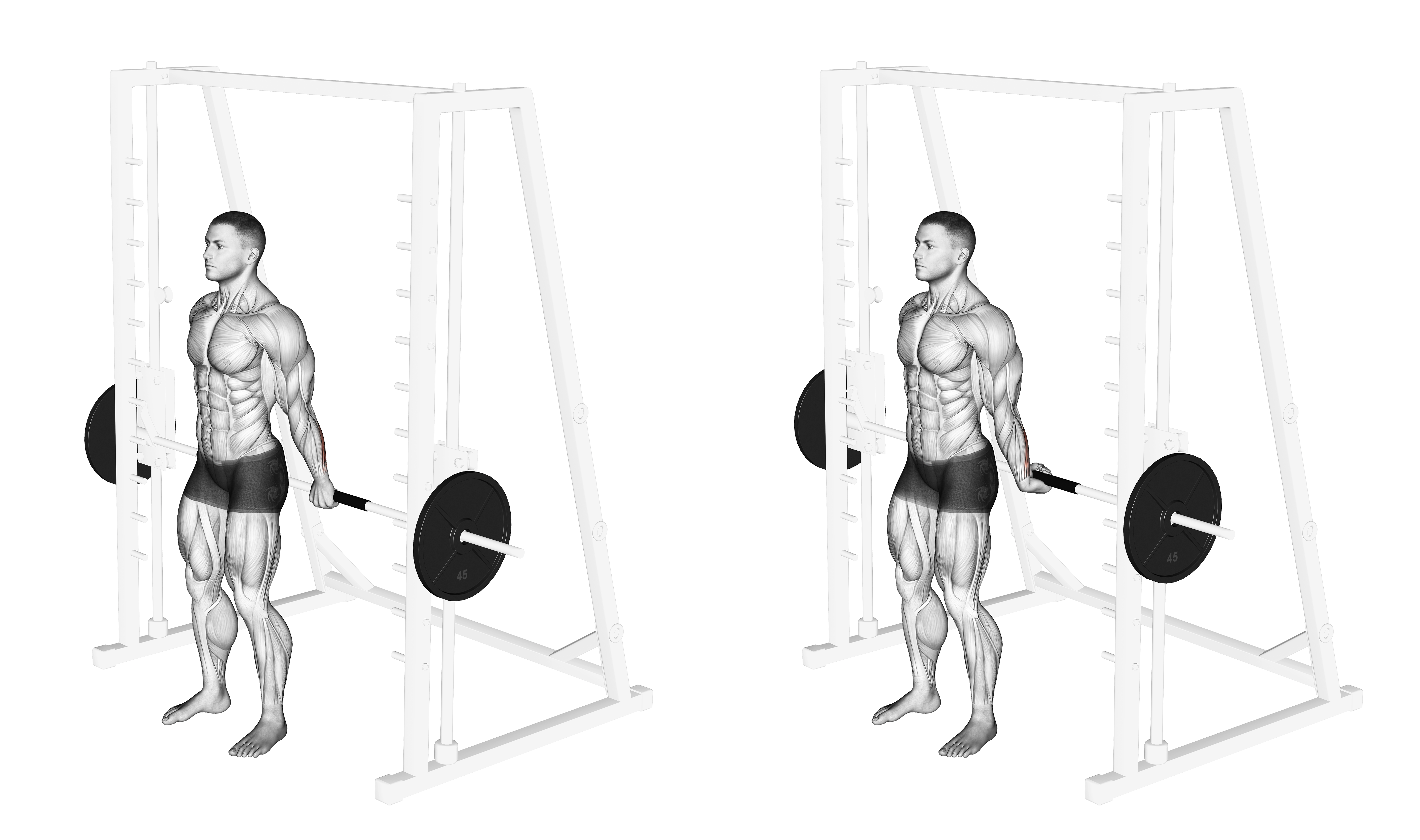 Smith Standing Back Wrist Curl