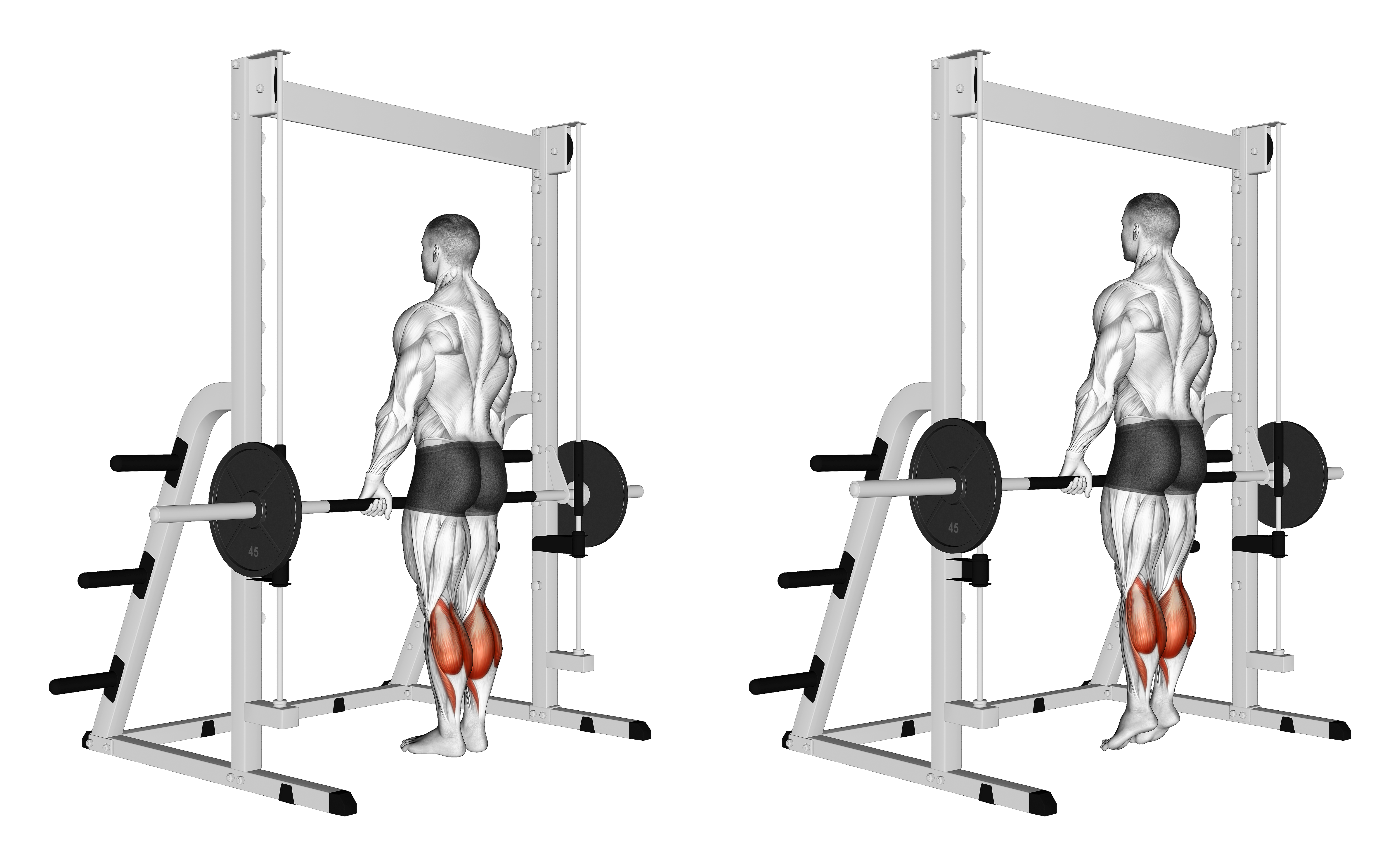 Smith Standing Leg Calf Raise
