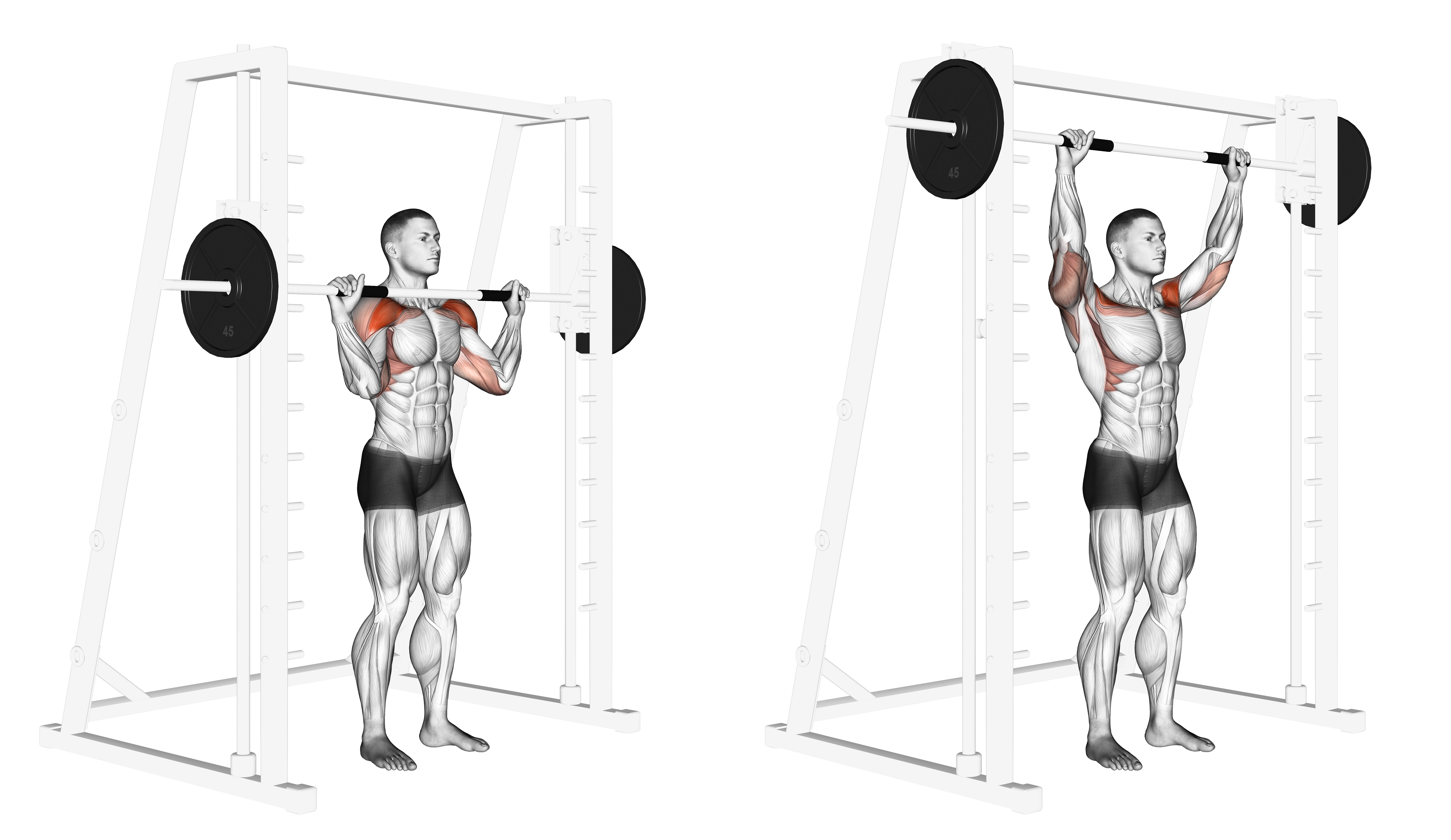 Smith Standing Military Press
