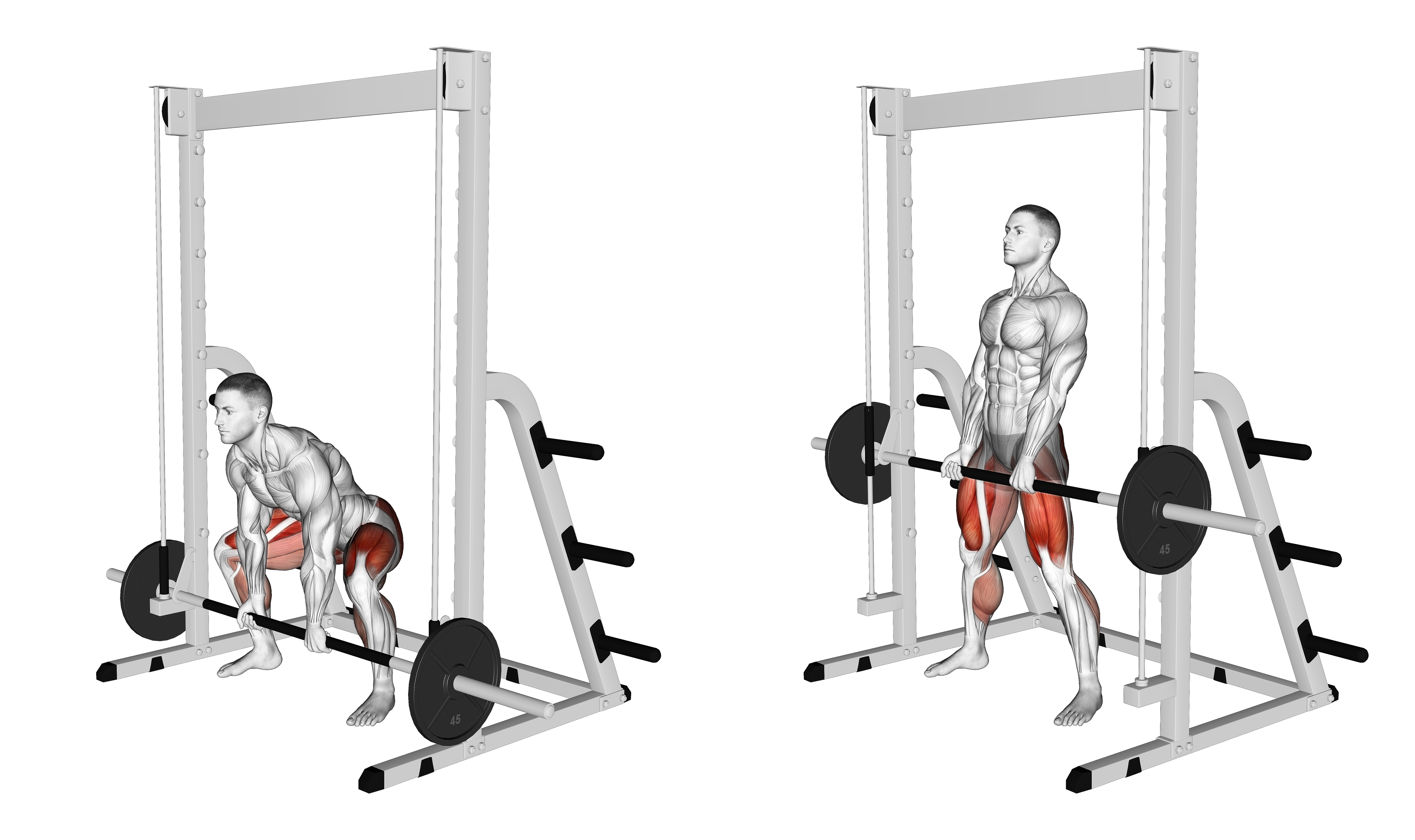 Smith Sumo Deadlift