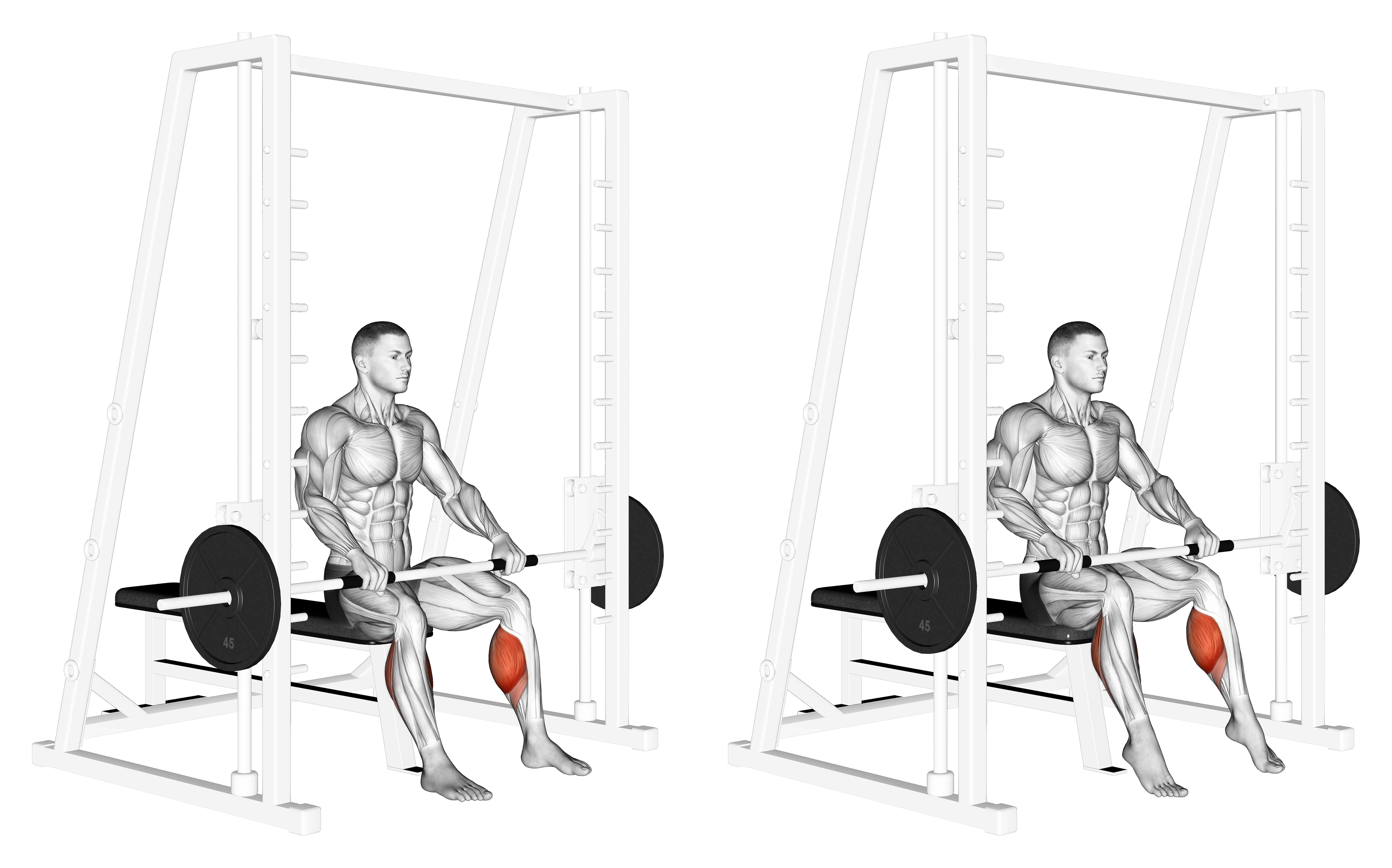 Smith Toe Raise