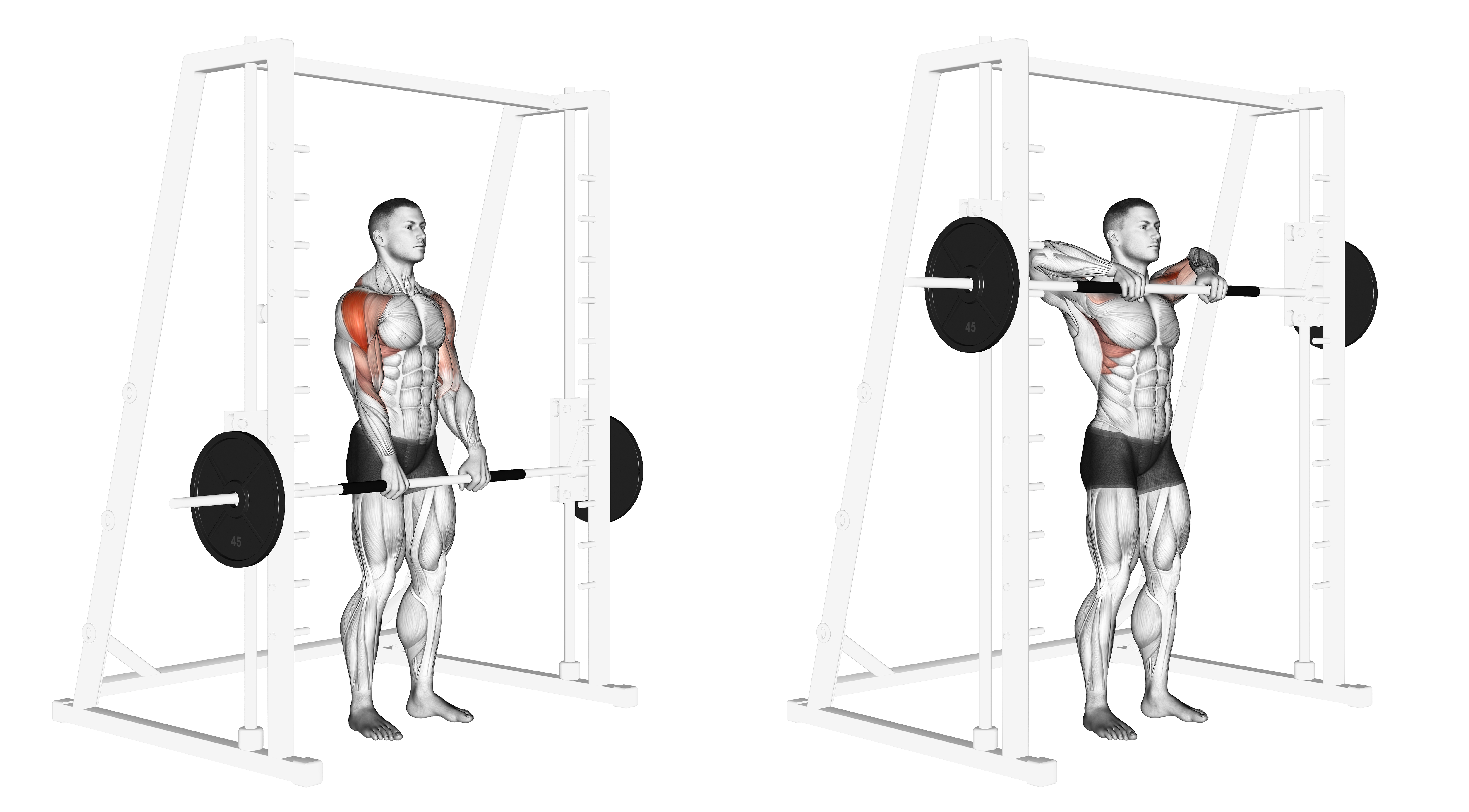 Smith Upright Row