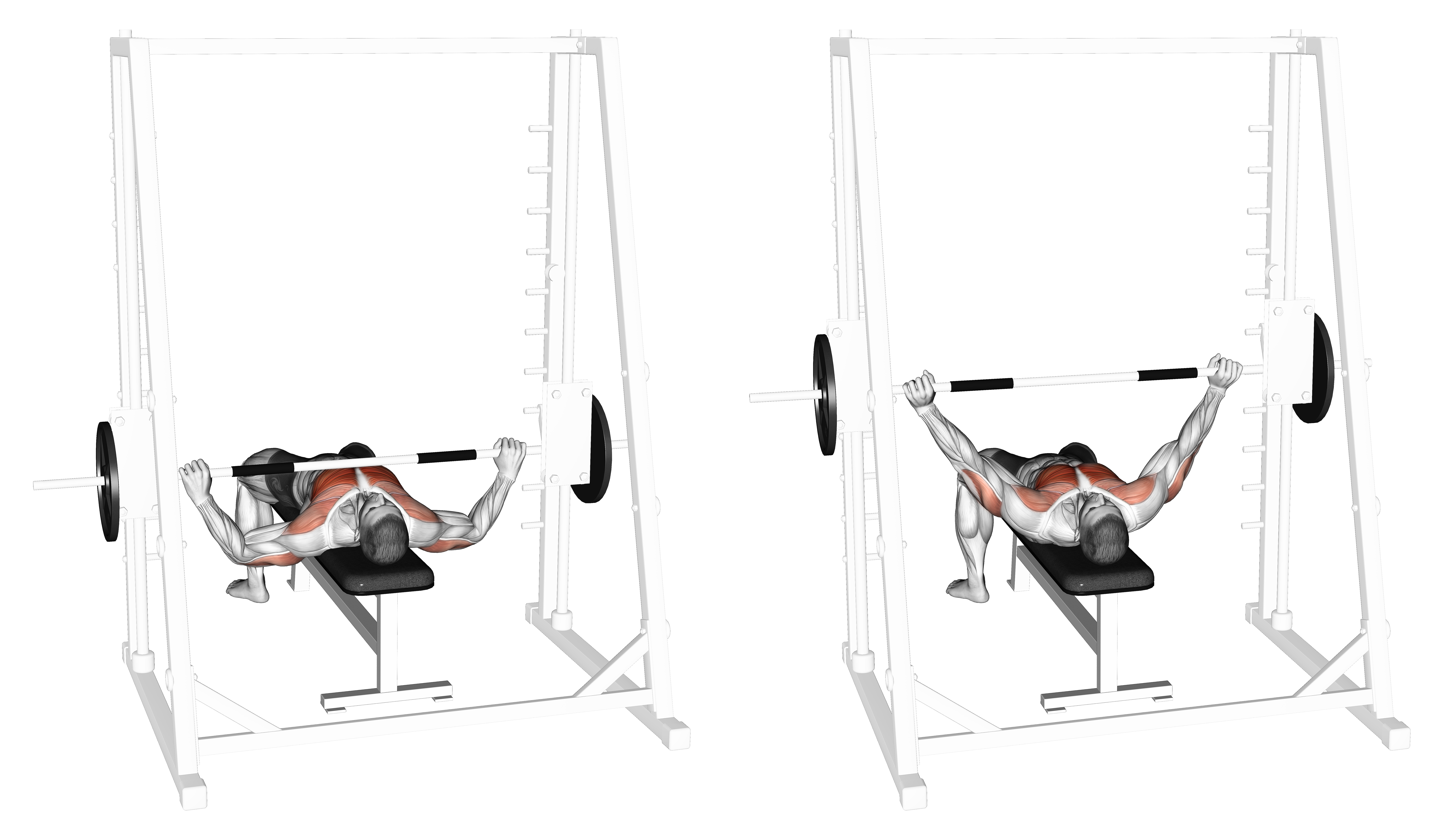 Smith Wide Grip Bench Press