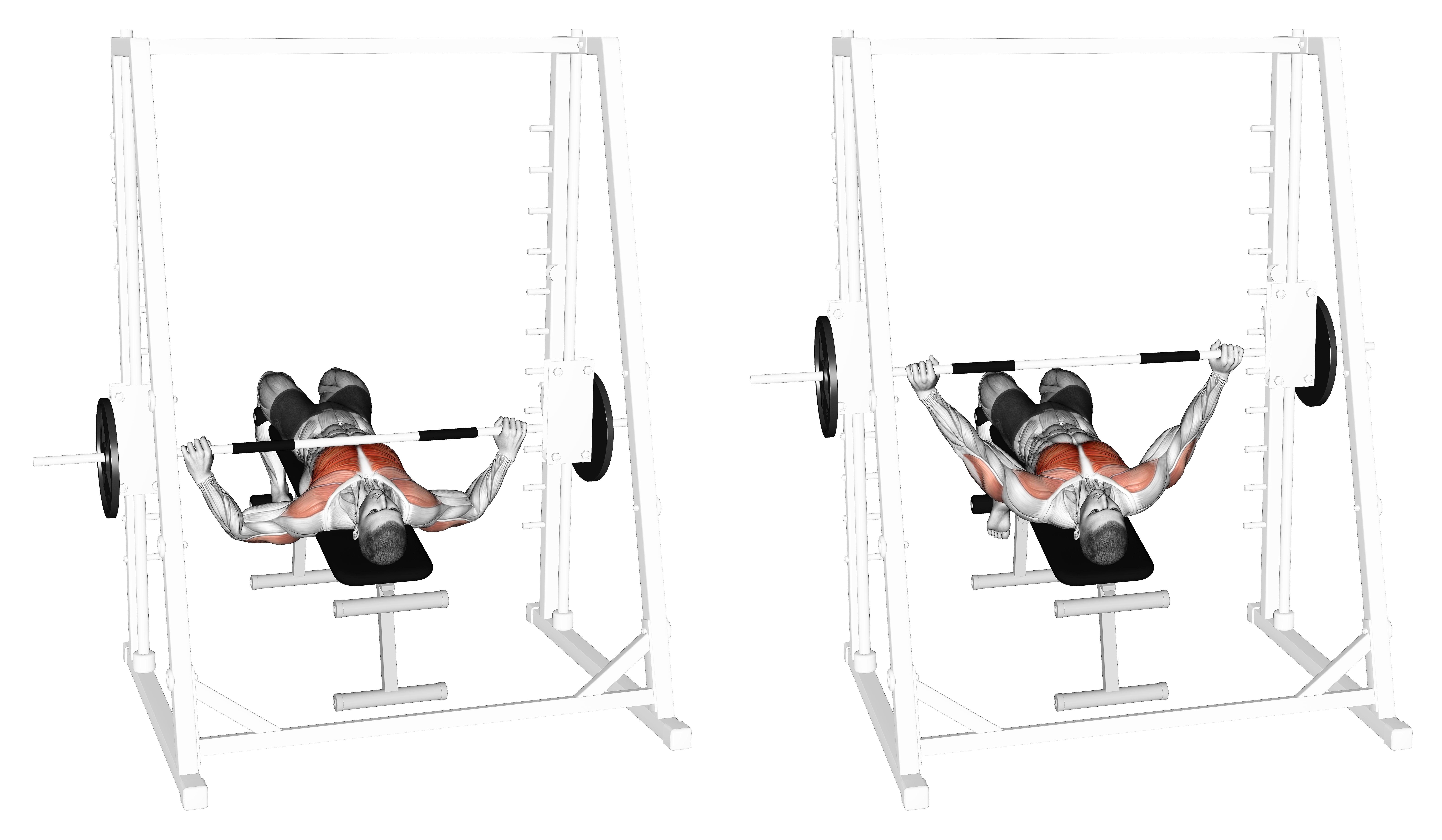 Smith Wide Grip Decline Bench Press