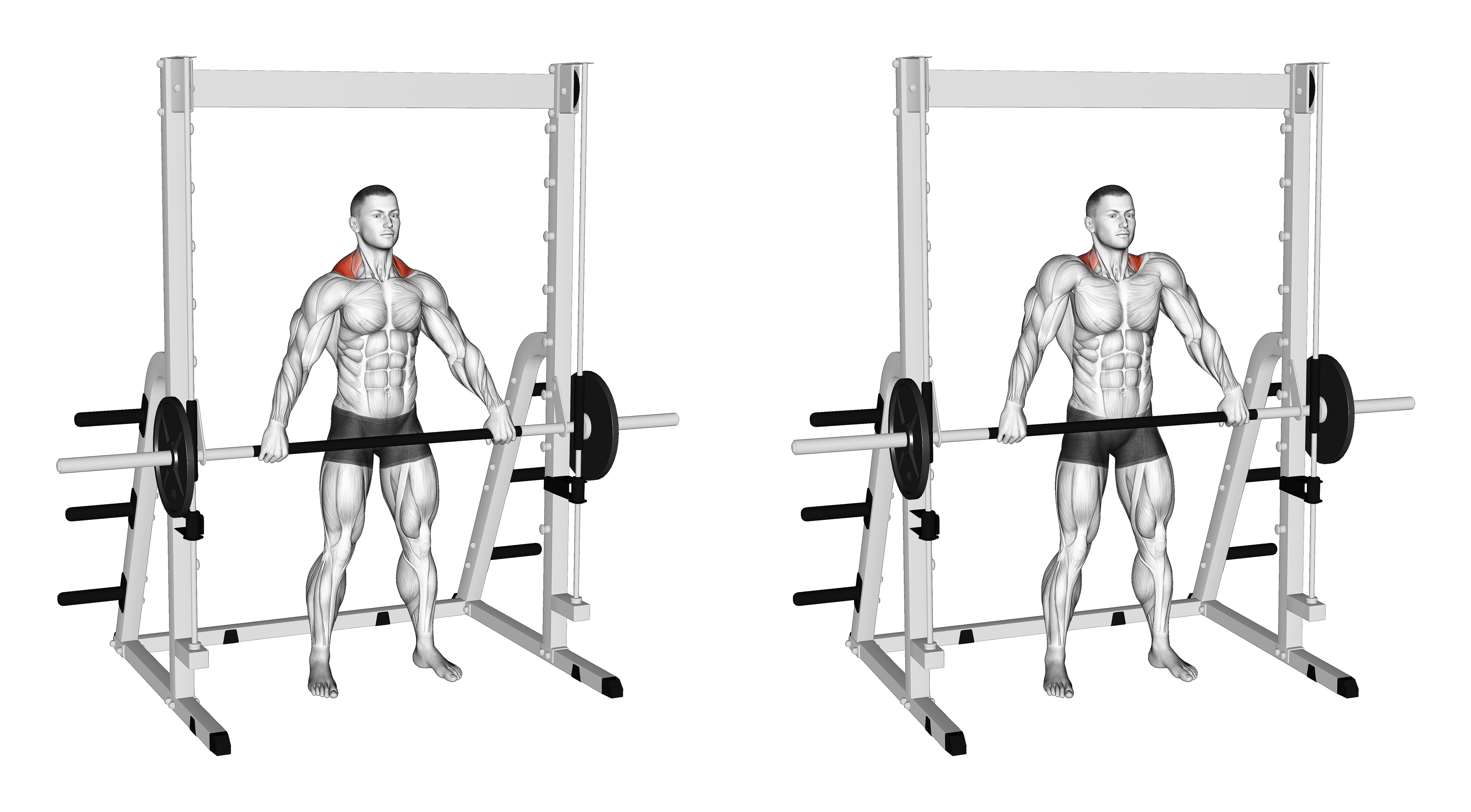 Smith Wide Shrug