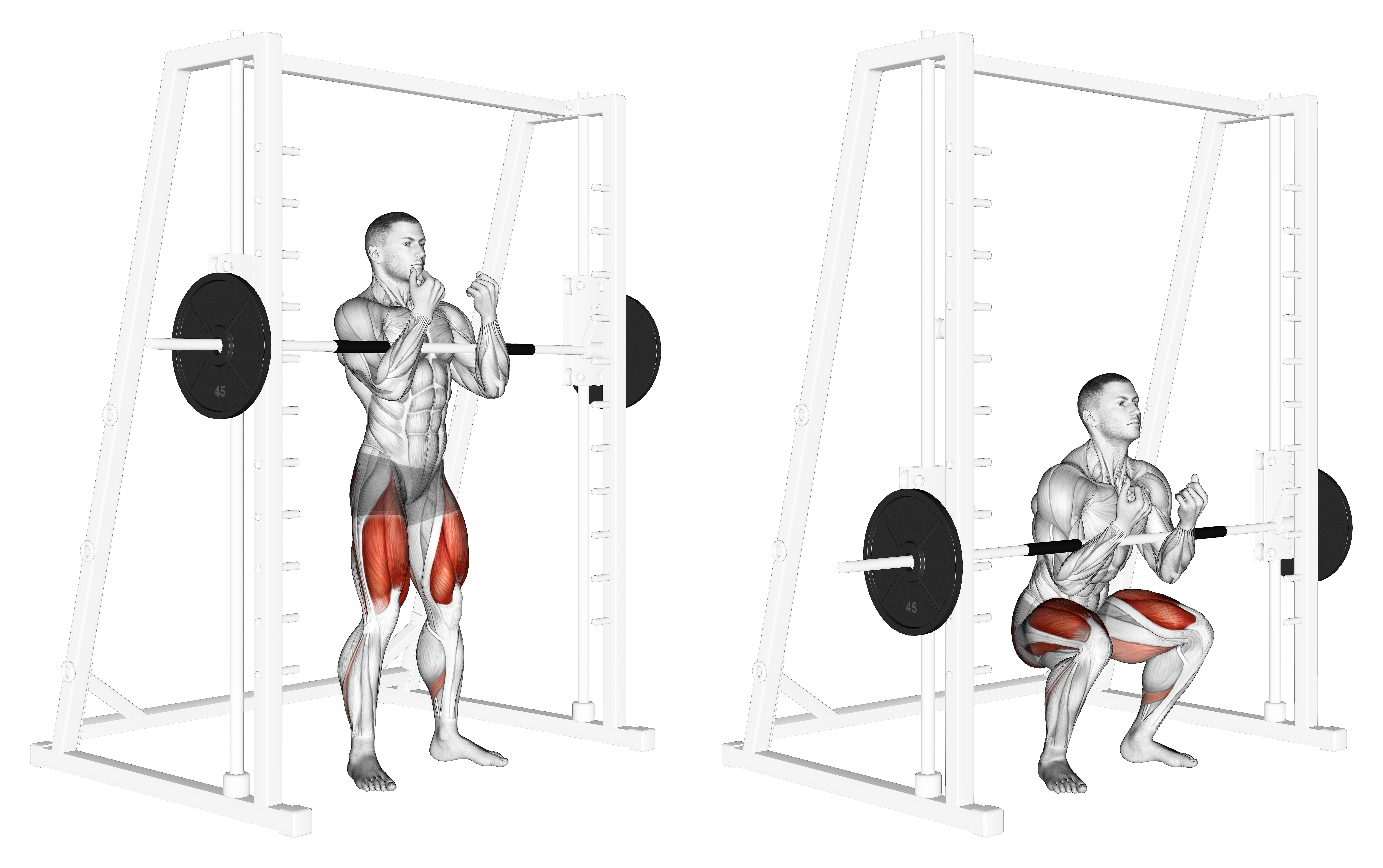 Smith Zercher Squat