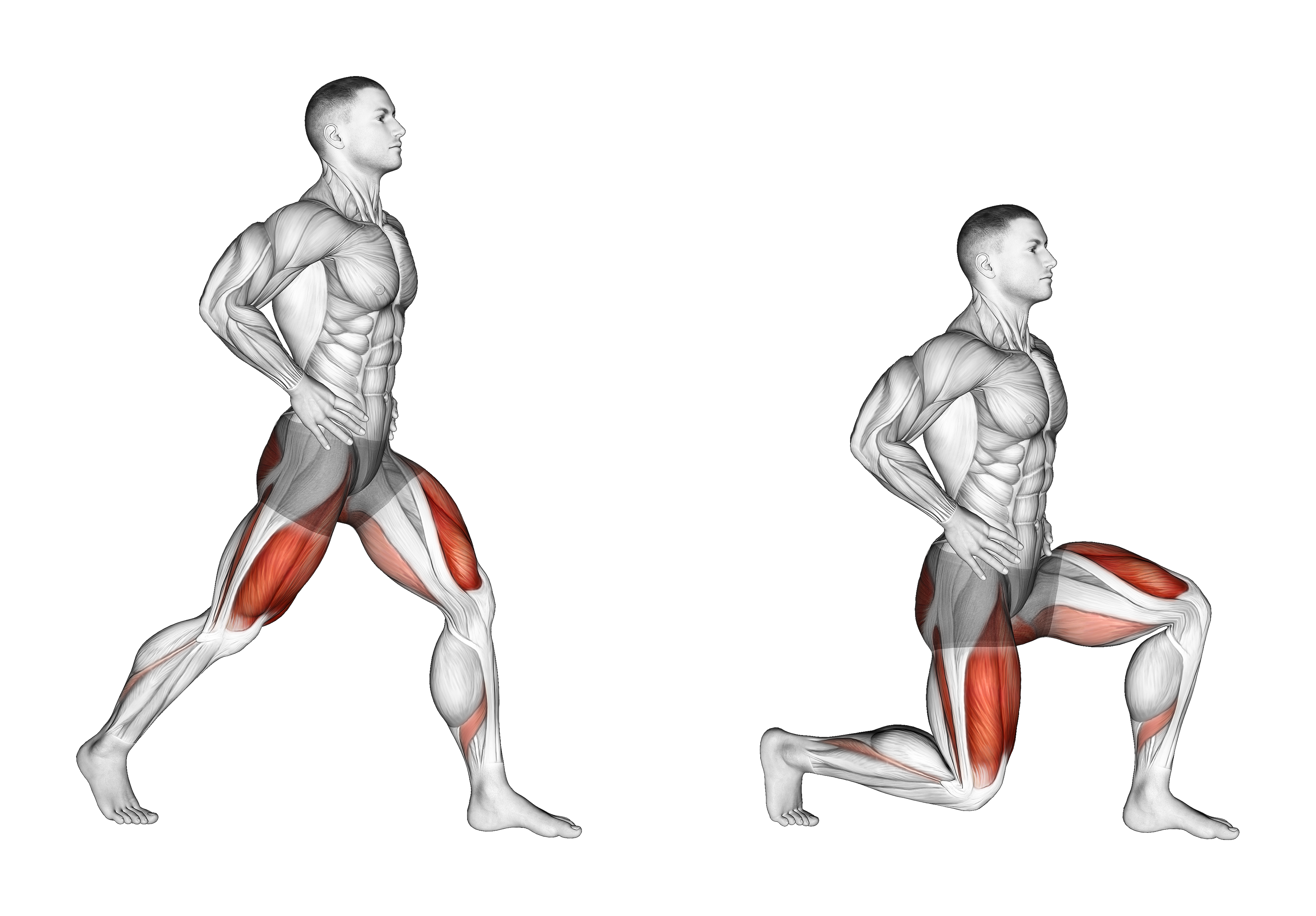 Split Squats