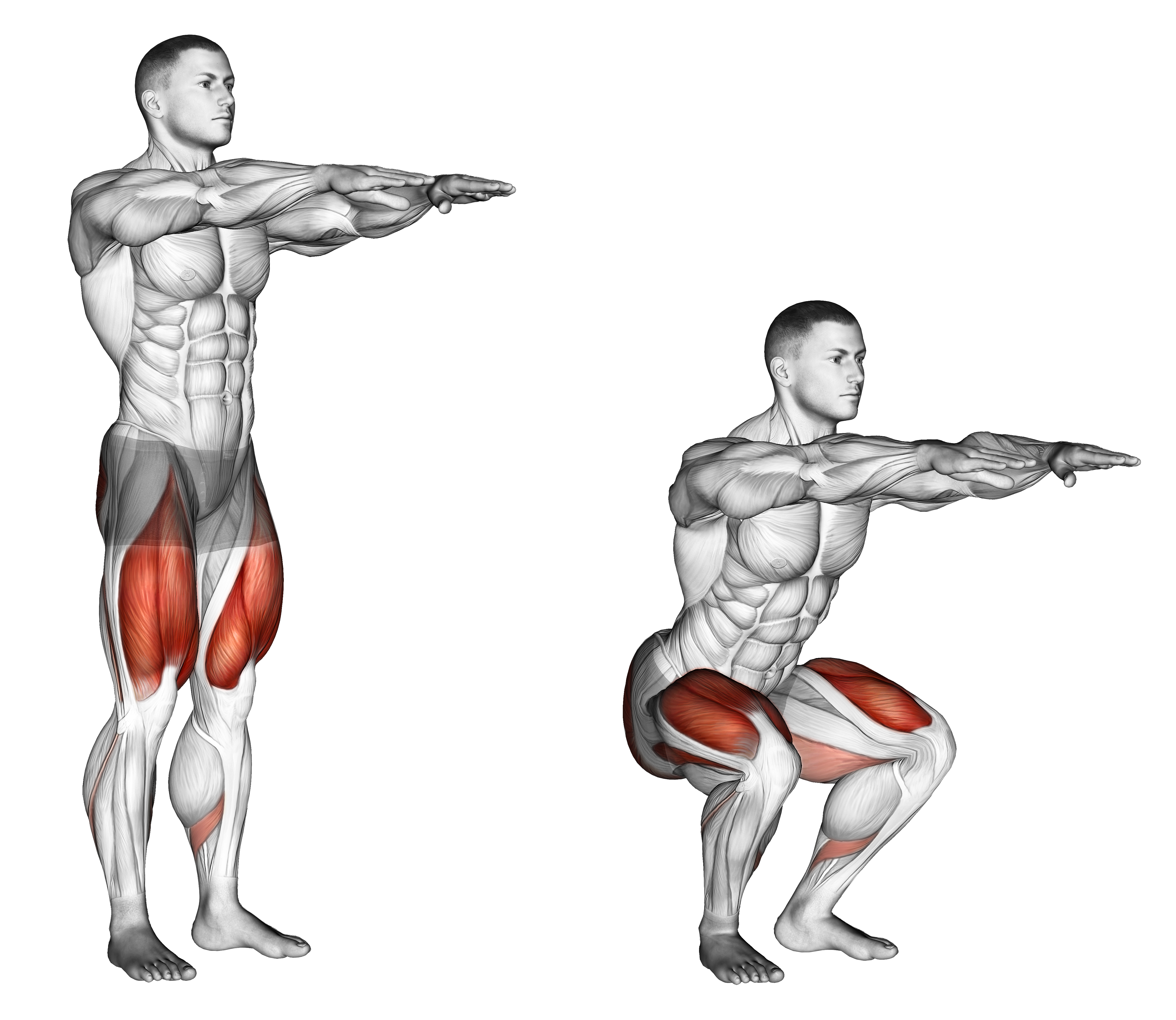 Squat M