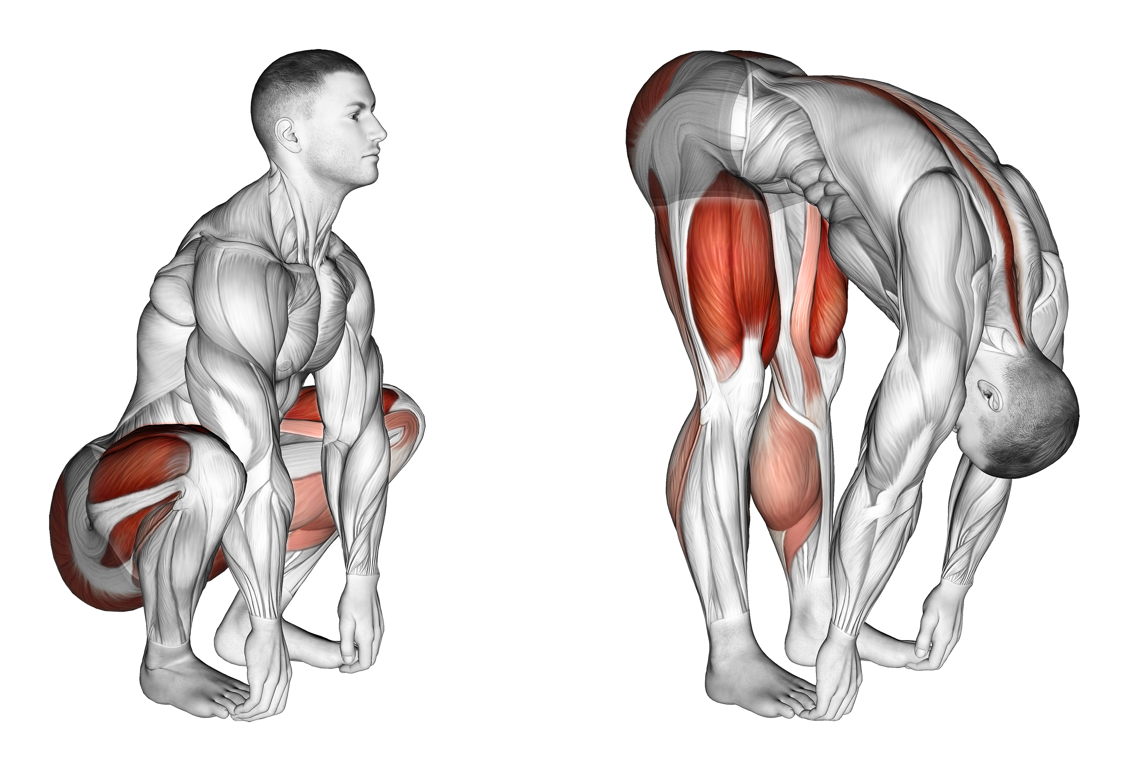 Squat Mobility Complex