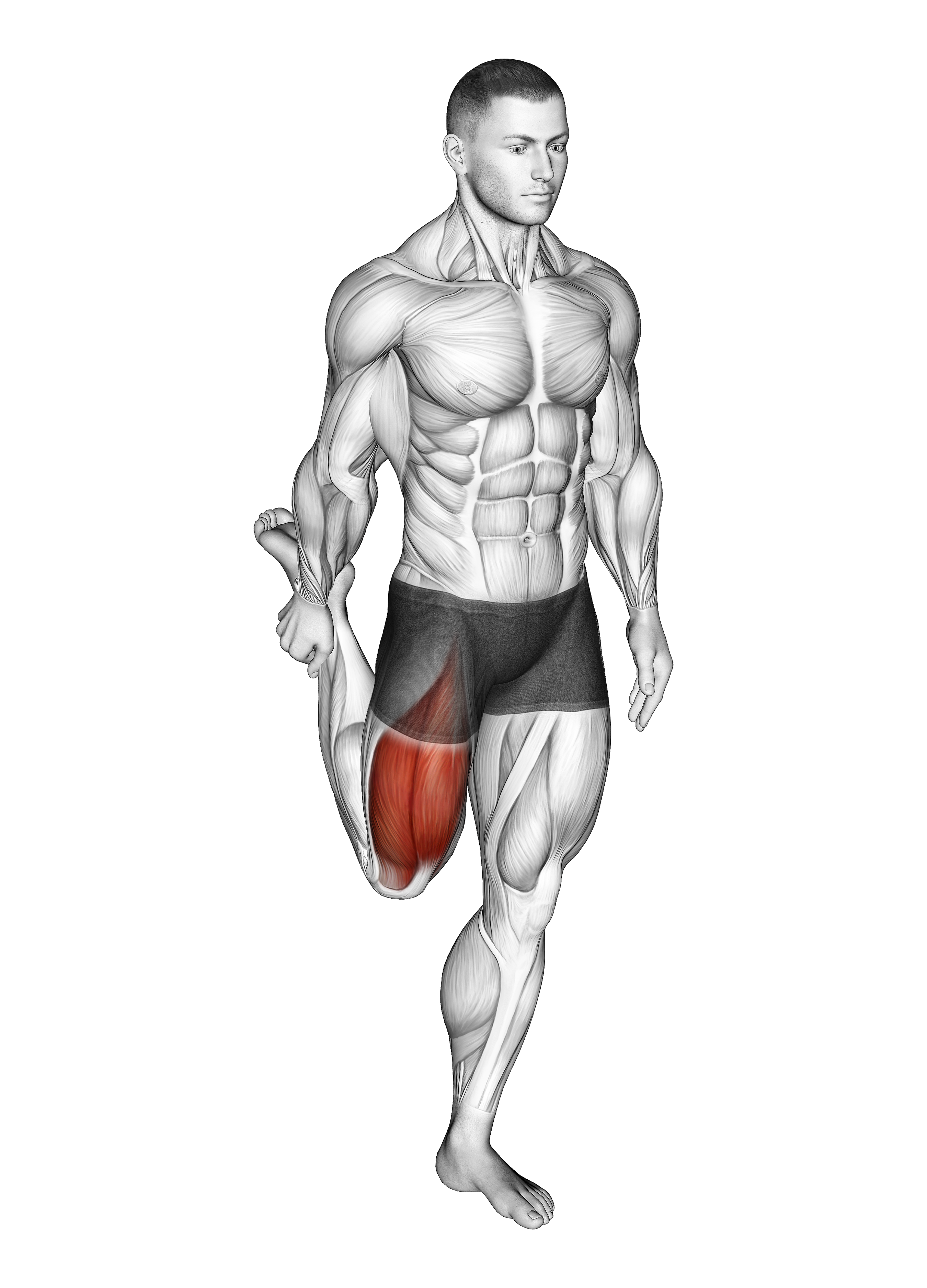 Standing Balance Quadriceps Stretch