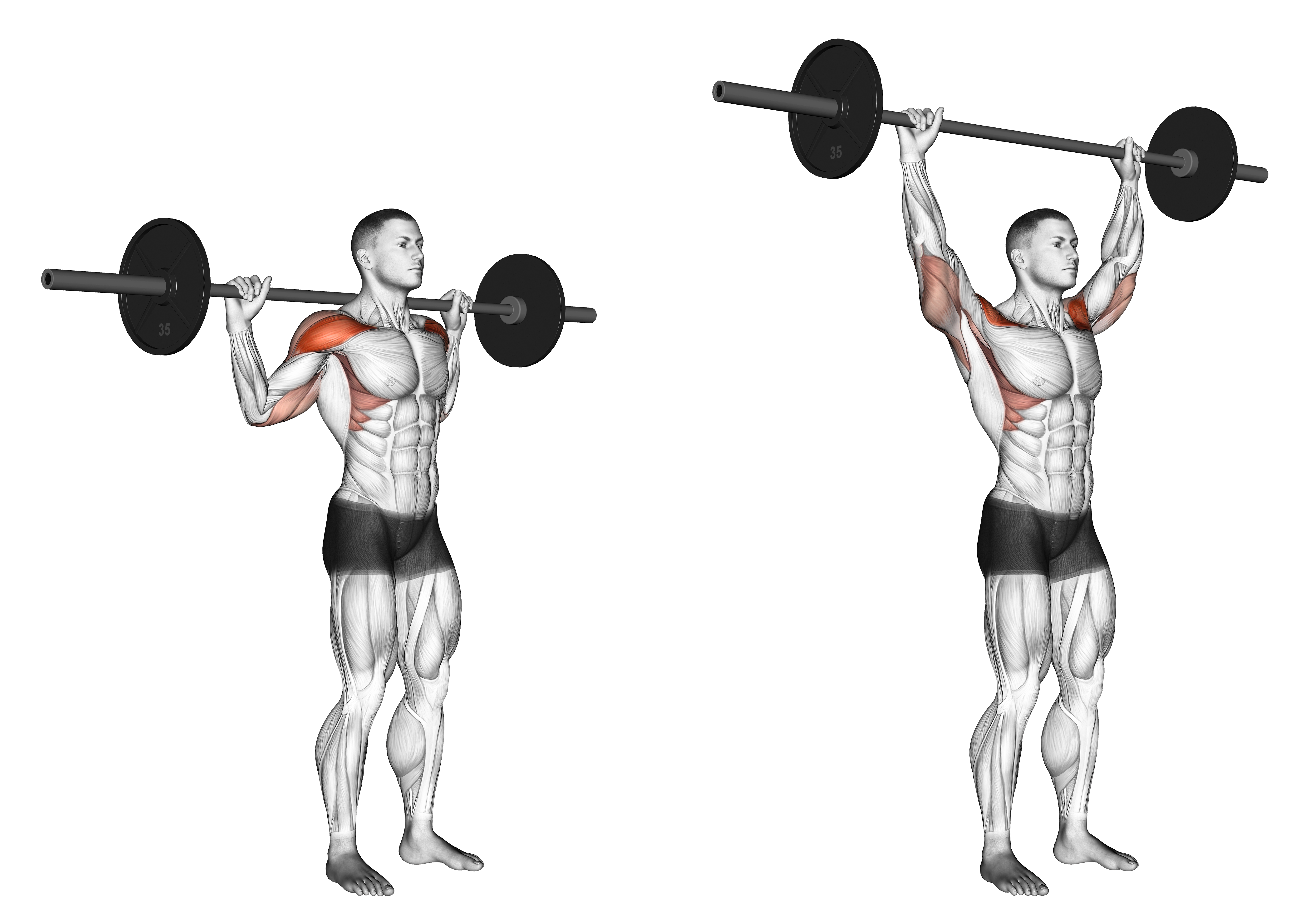 Standing Behind Neck Press
