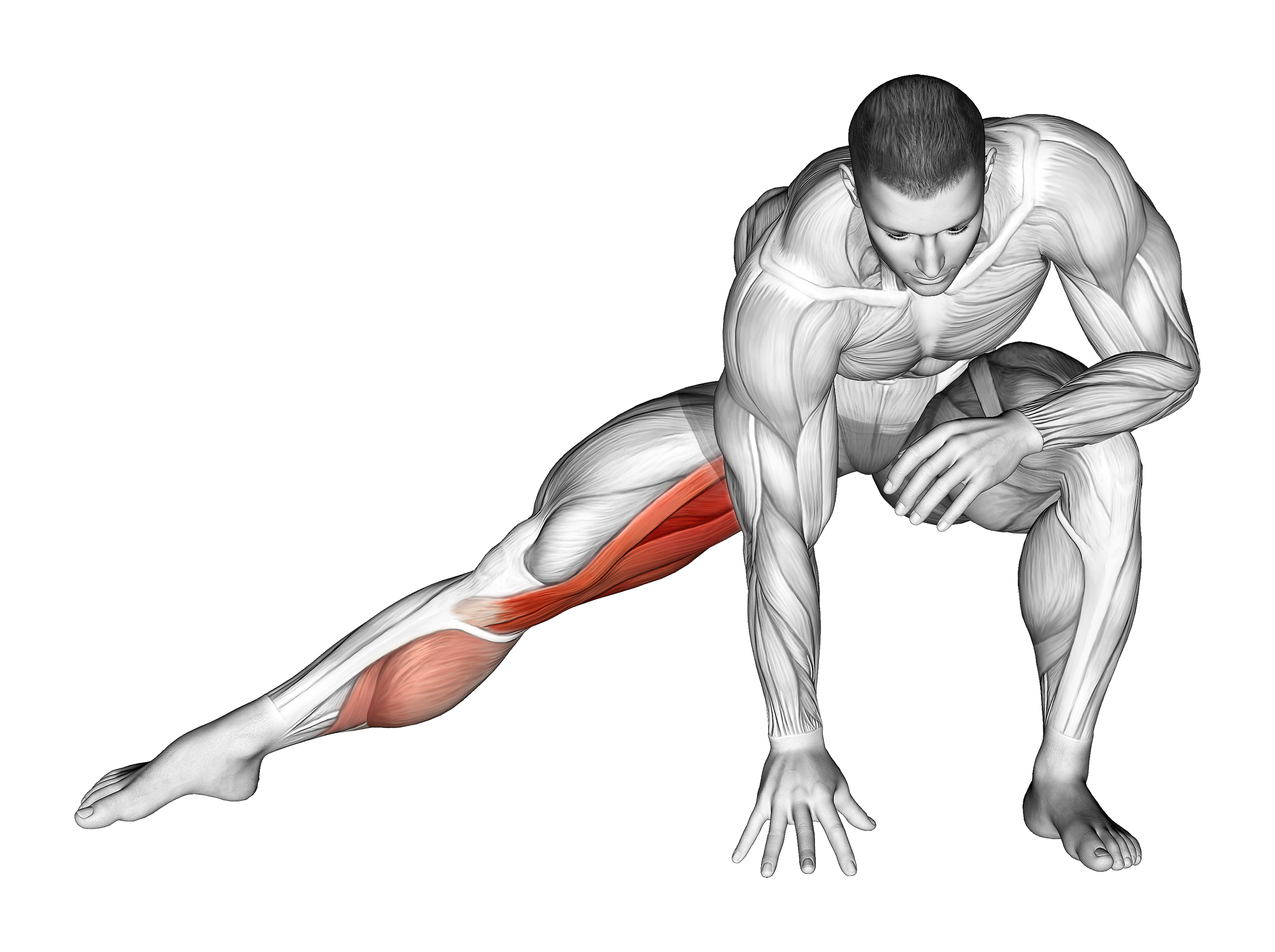 Standing Bent Knee Hip Adductor Stretch