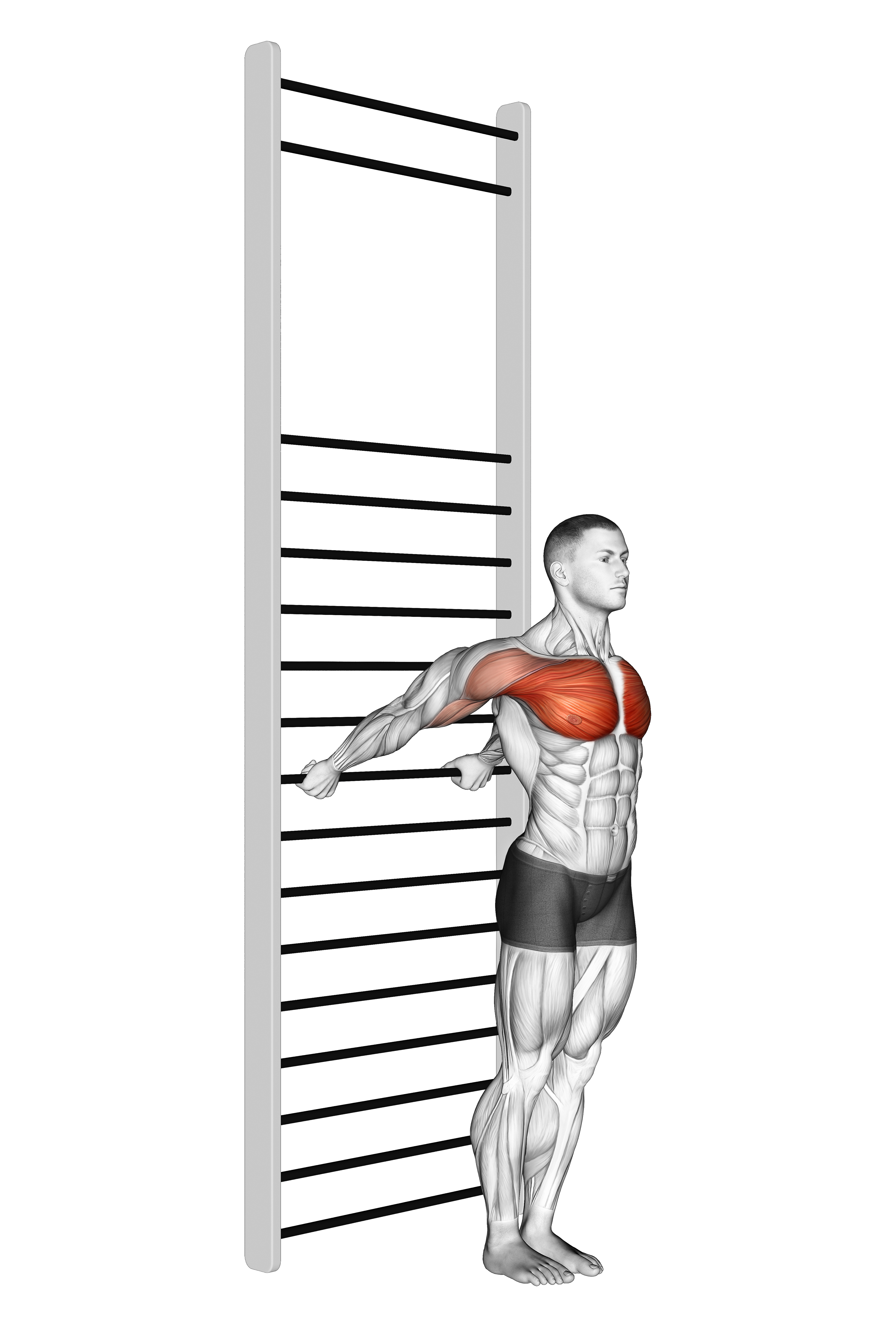 Standing Chest Stretch With Training Wall Bars