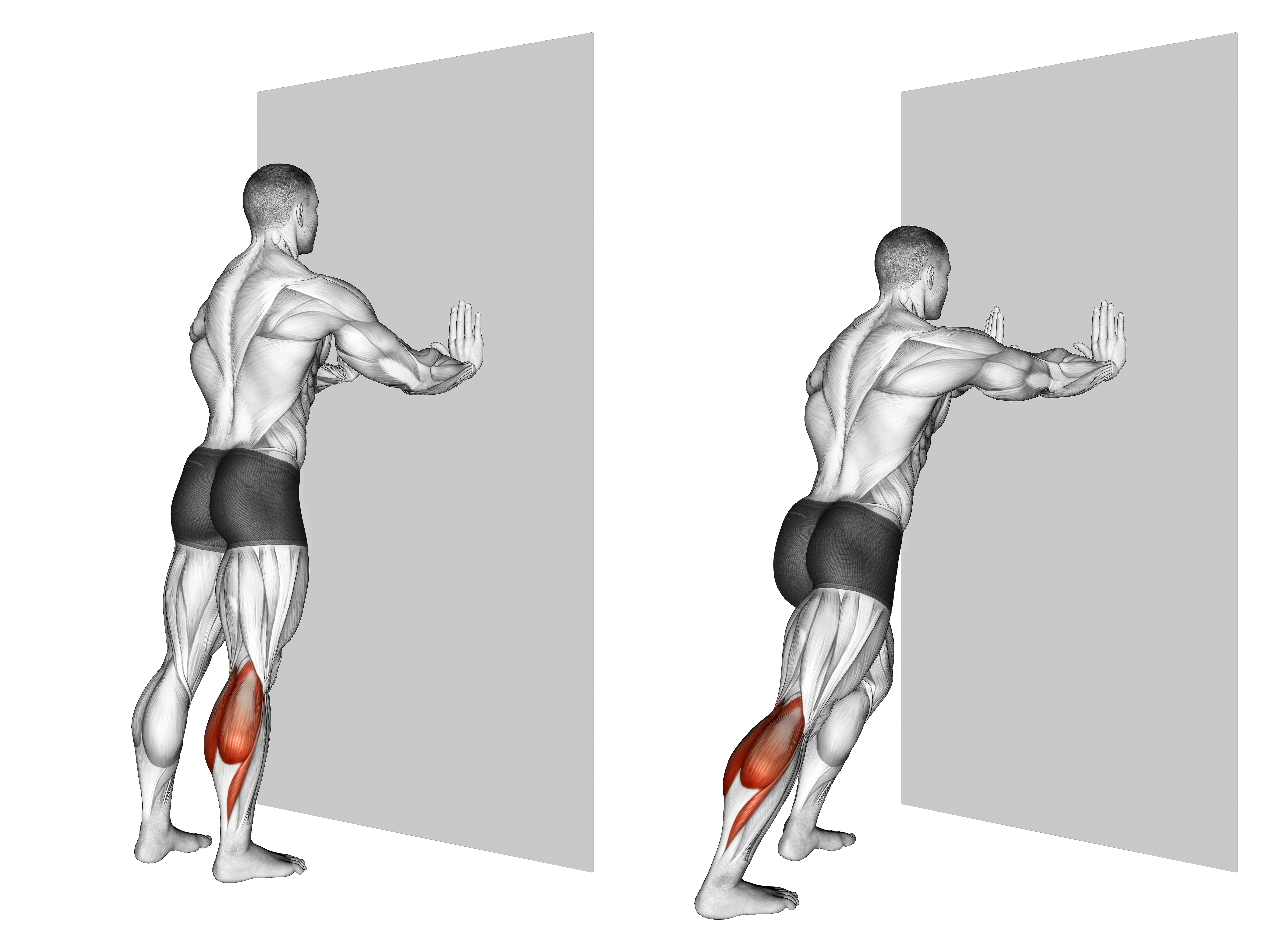 Standing Gastrocnemius