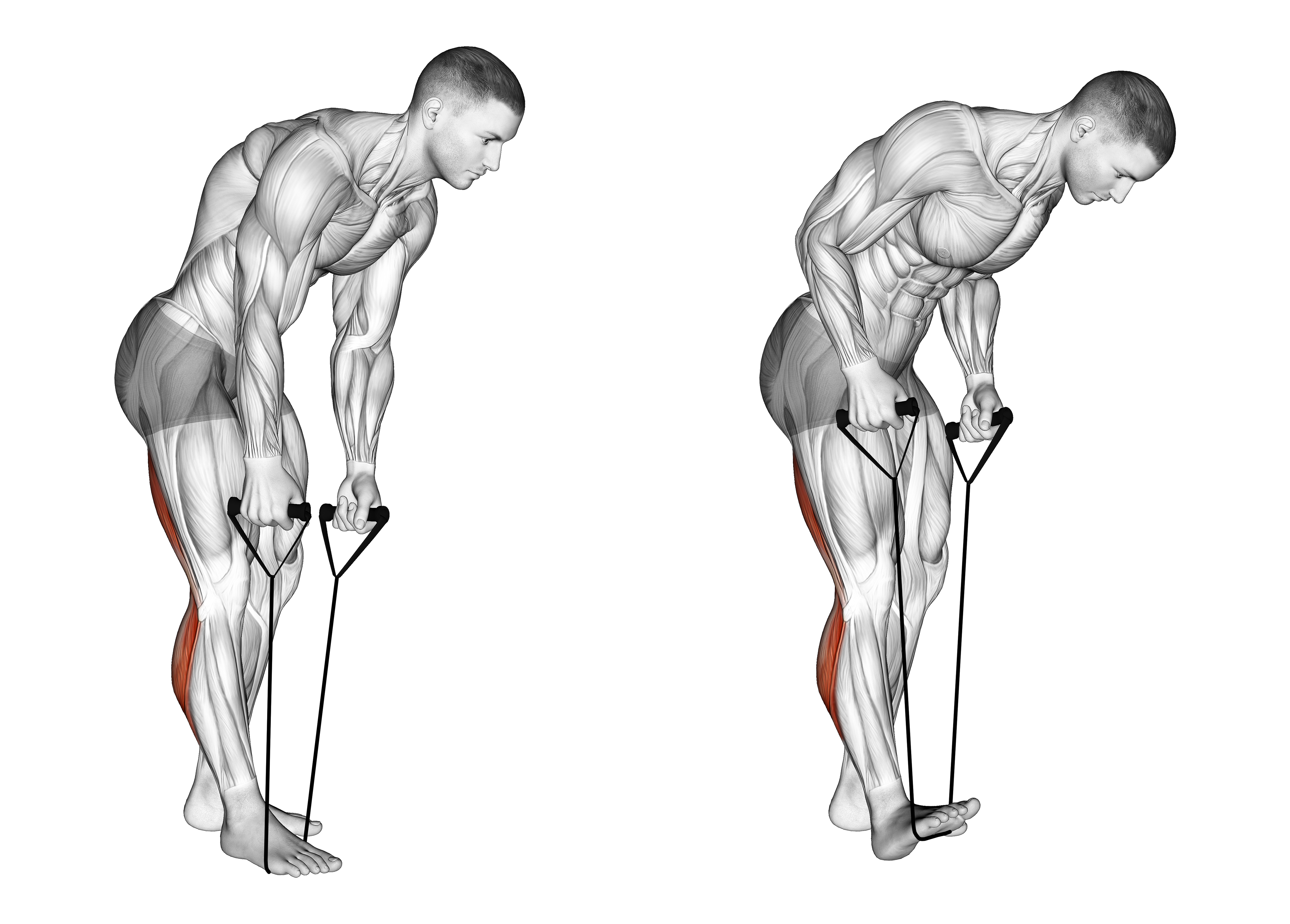 Standing Hamstring And Calf Stretch With Starp