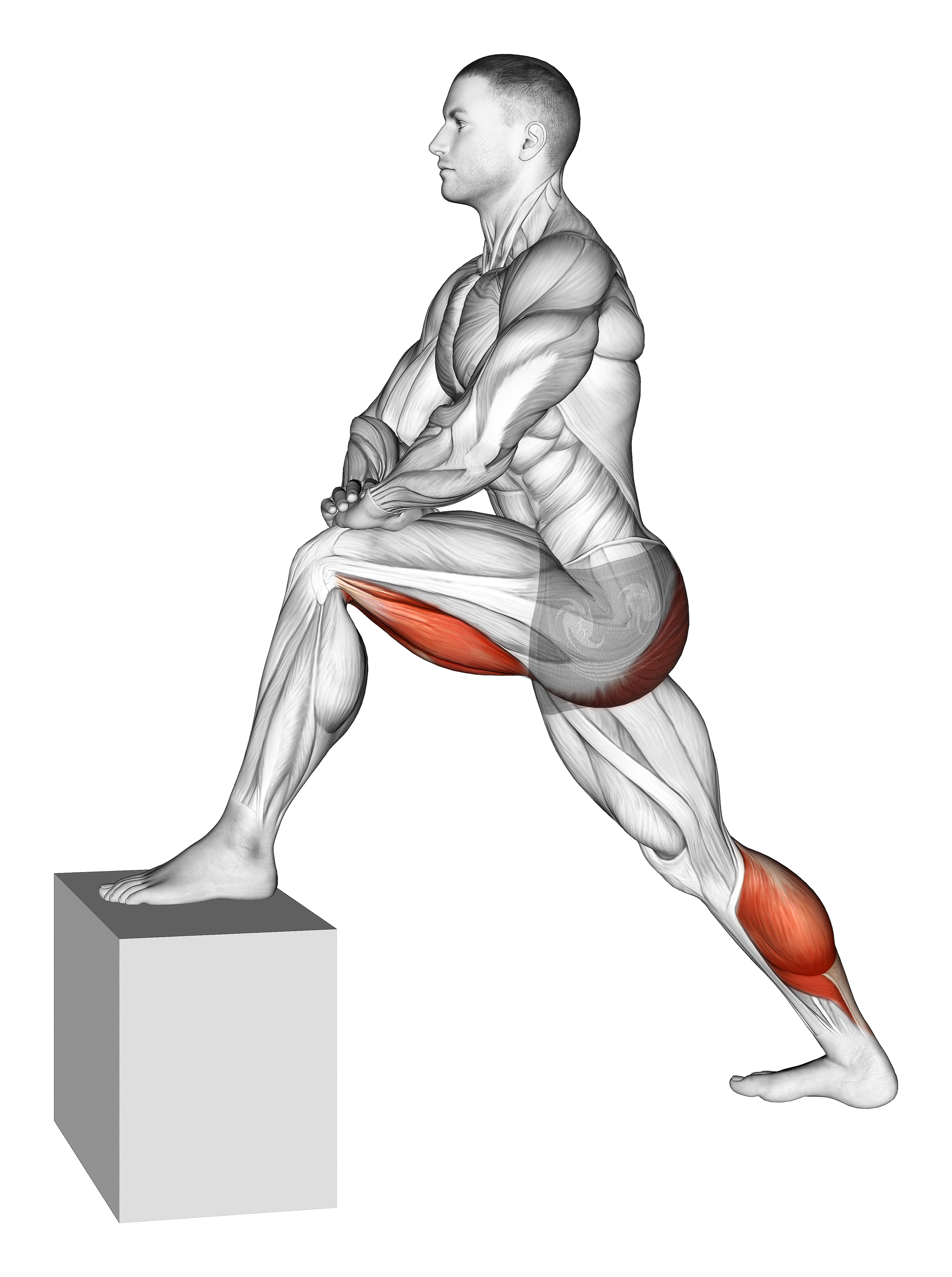 Standing Hip Flexor Stretch