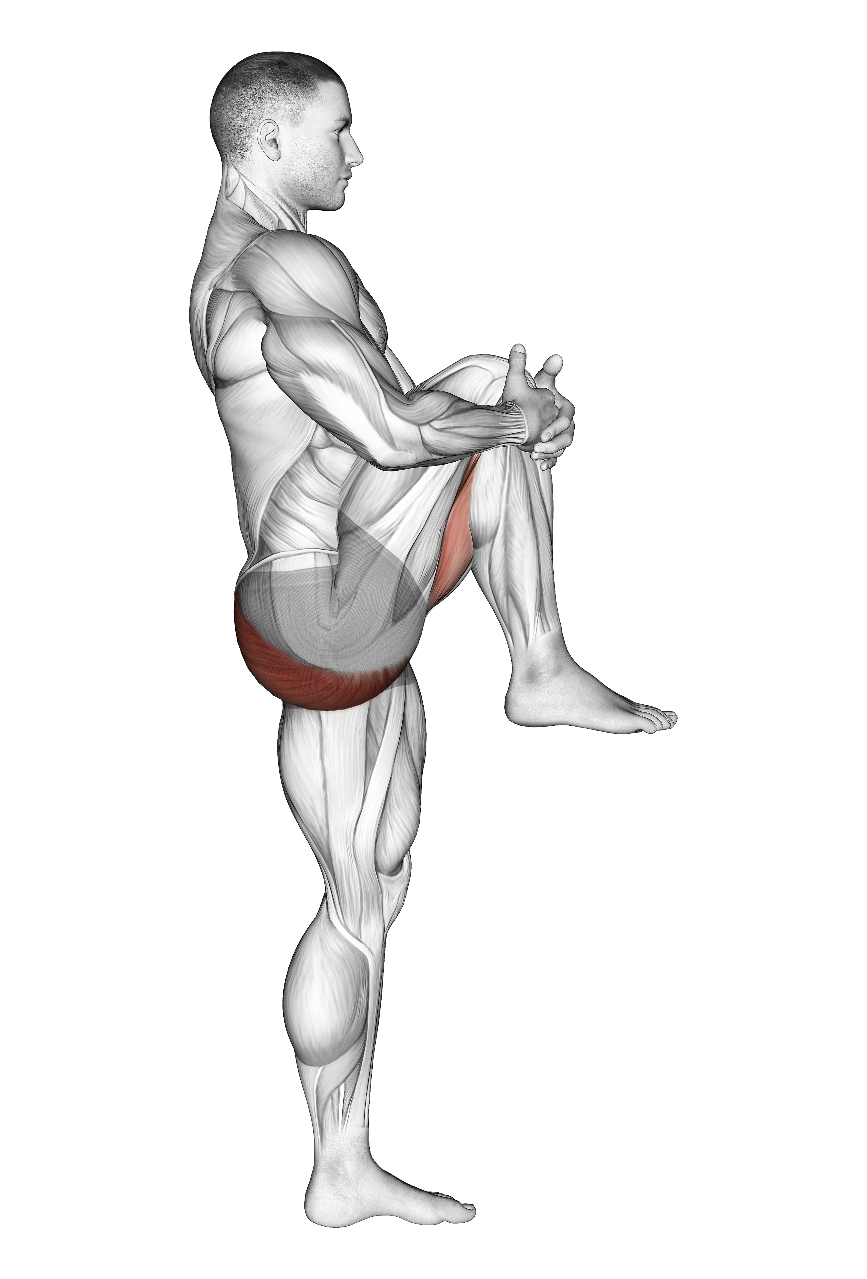 Standing Knee To Chest Stretch