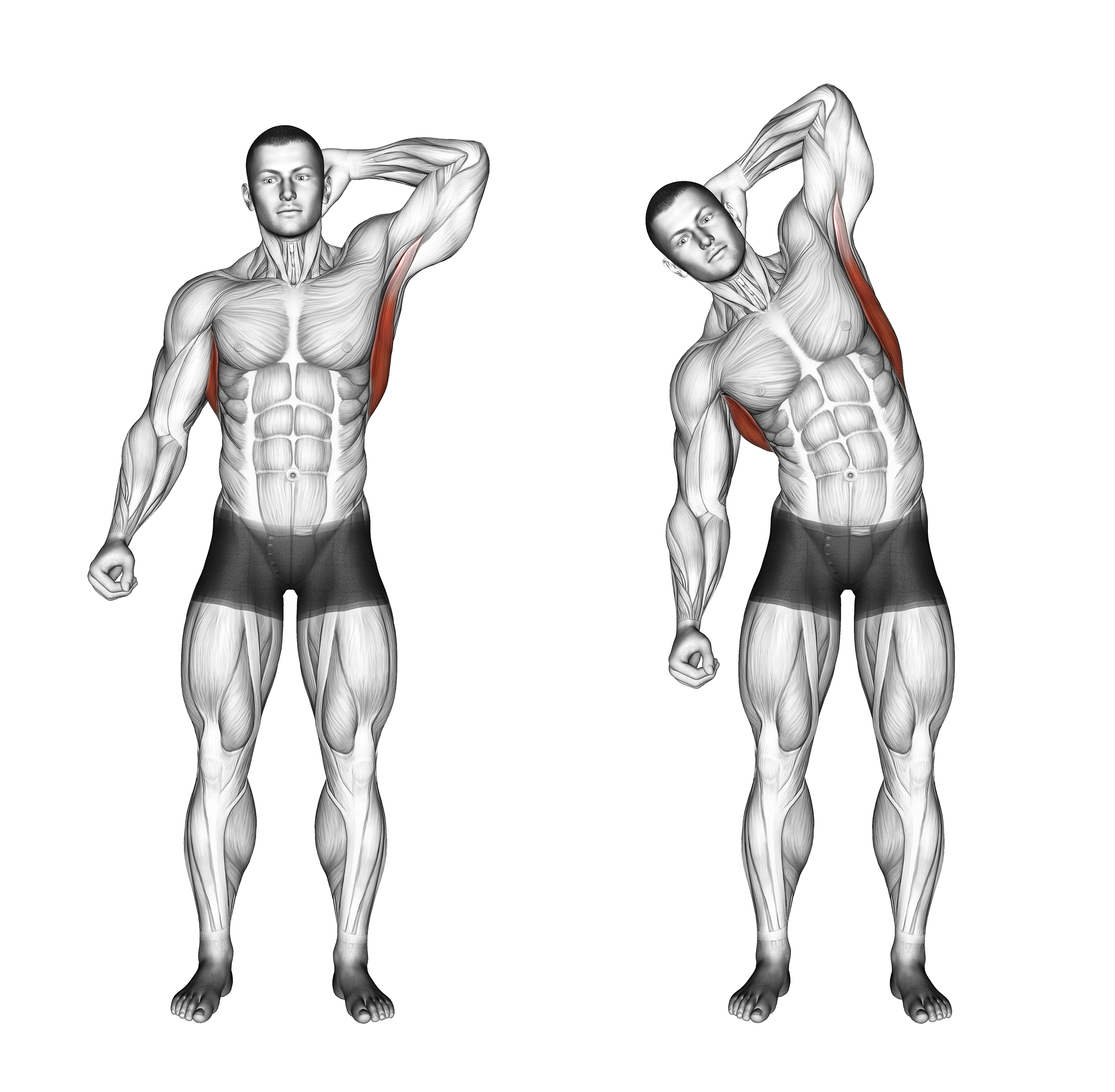 Standing Lateral Stretch