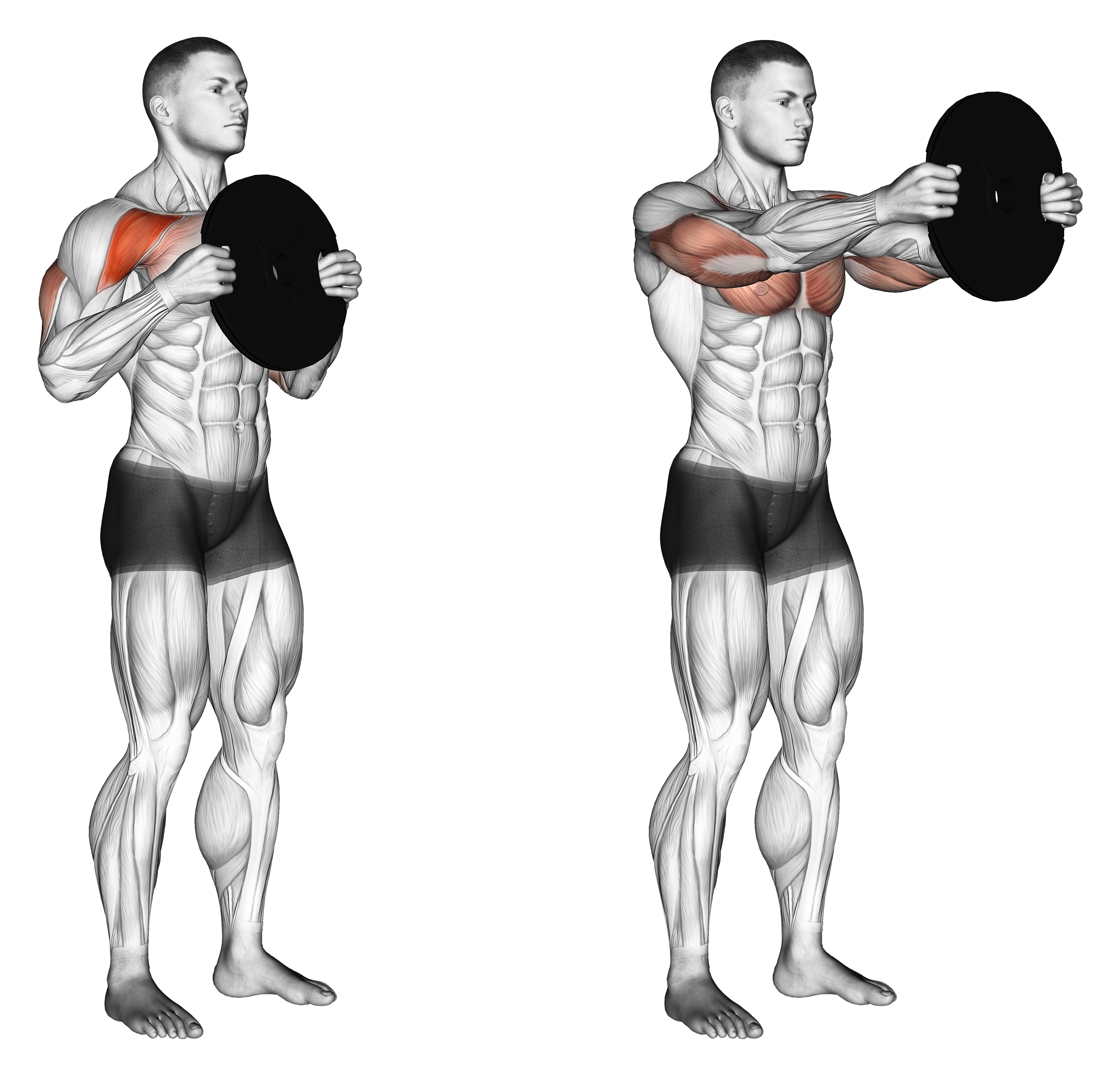 Standing Plate Presses