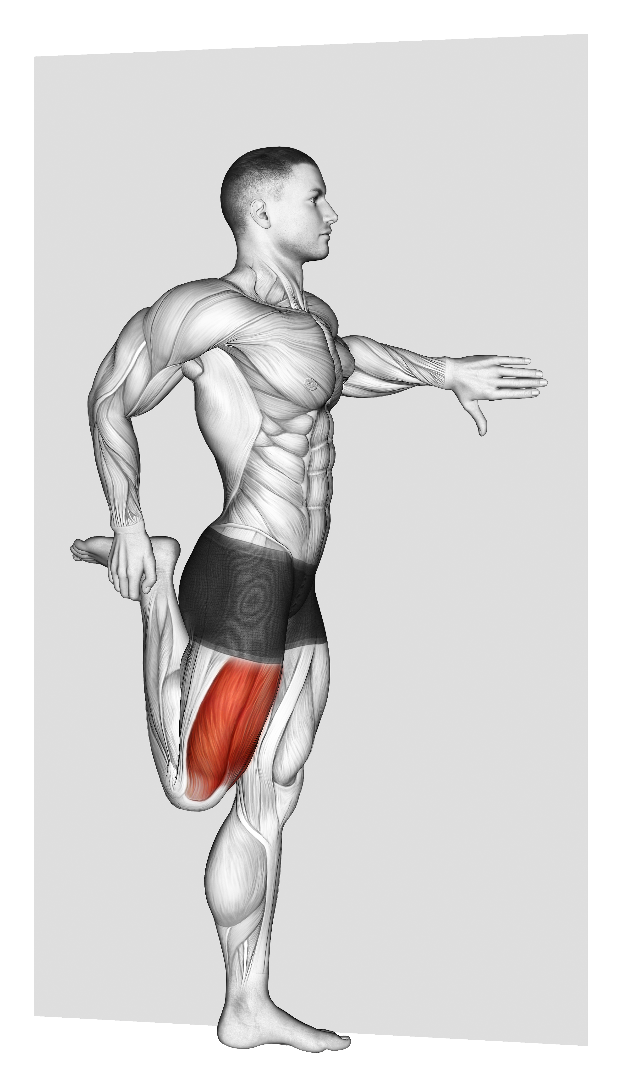 Standing Quadriceps Stretch