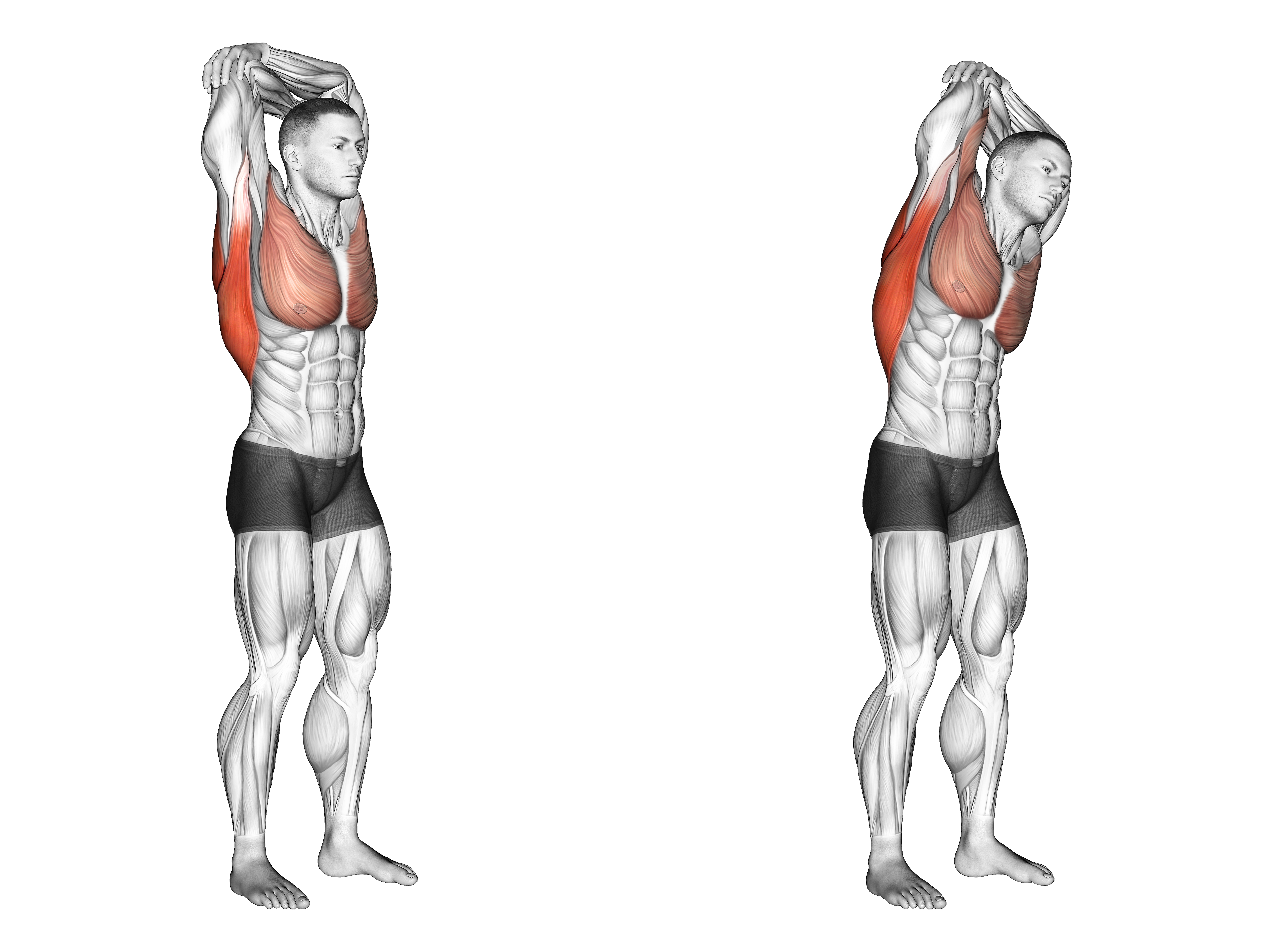 Standing Reach Up Back Rotation Stretch Back