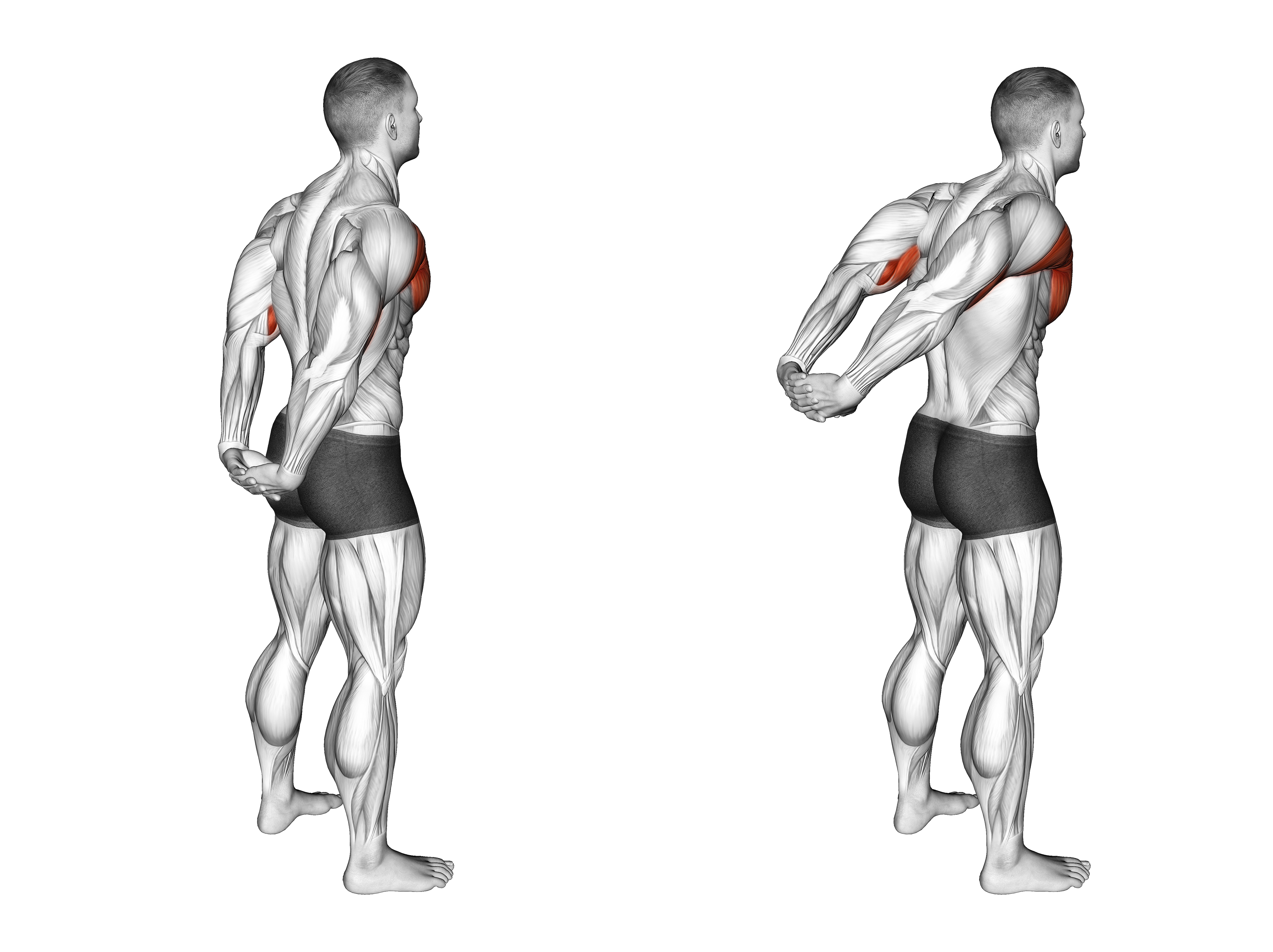 Standing Reverse Shoulder Stretch
