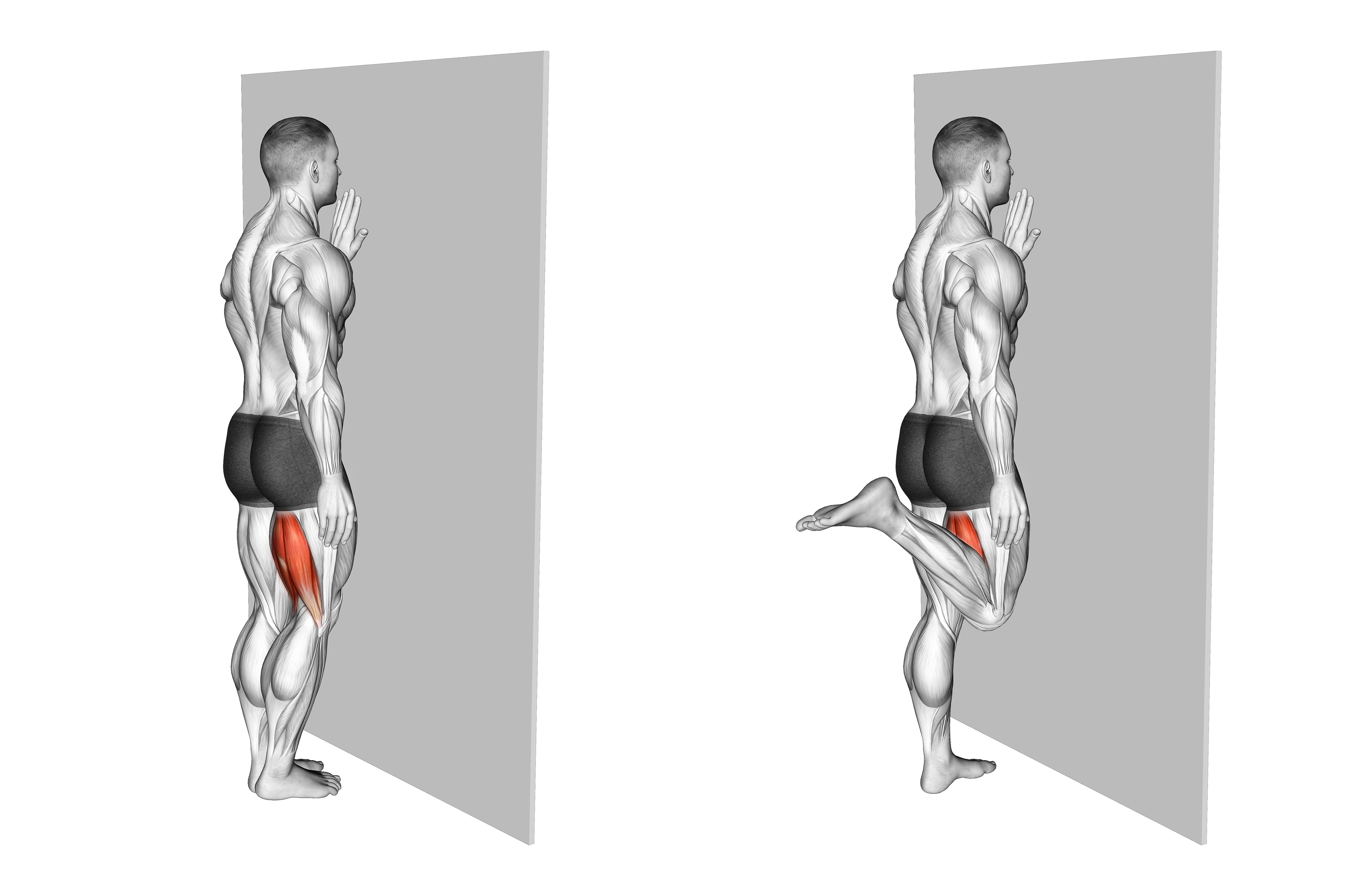 Standing Single Leg Curl
