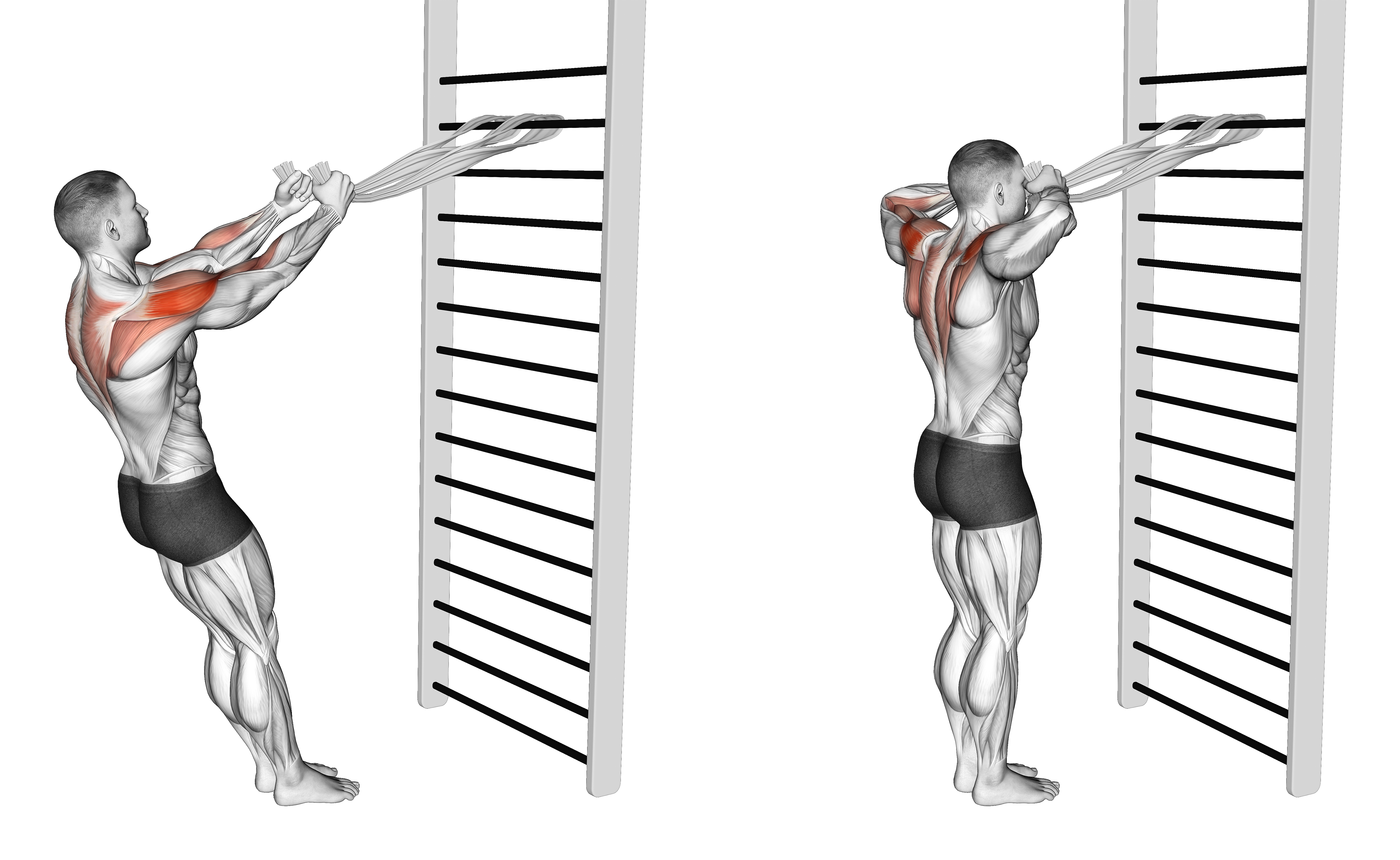 Standing Supinated Face Pull (with Towels)