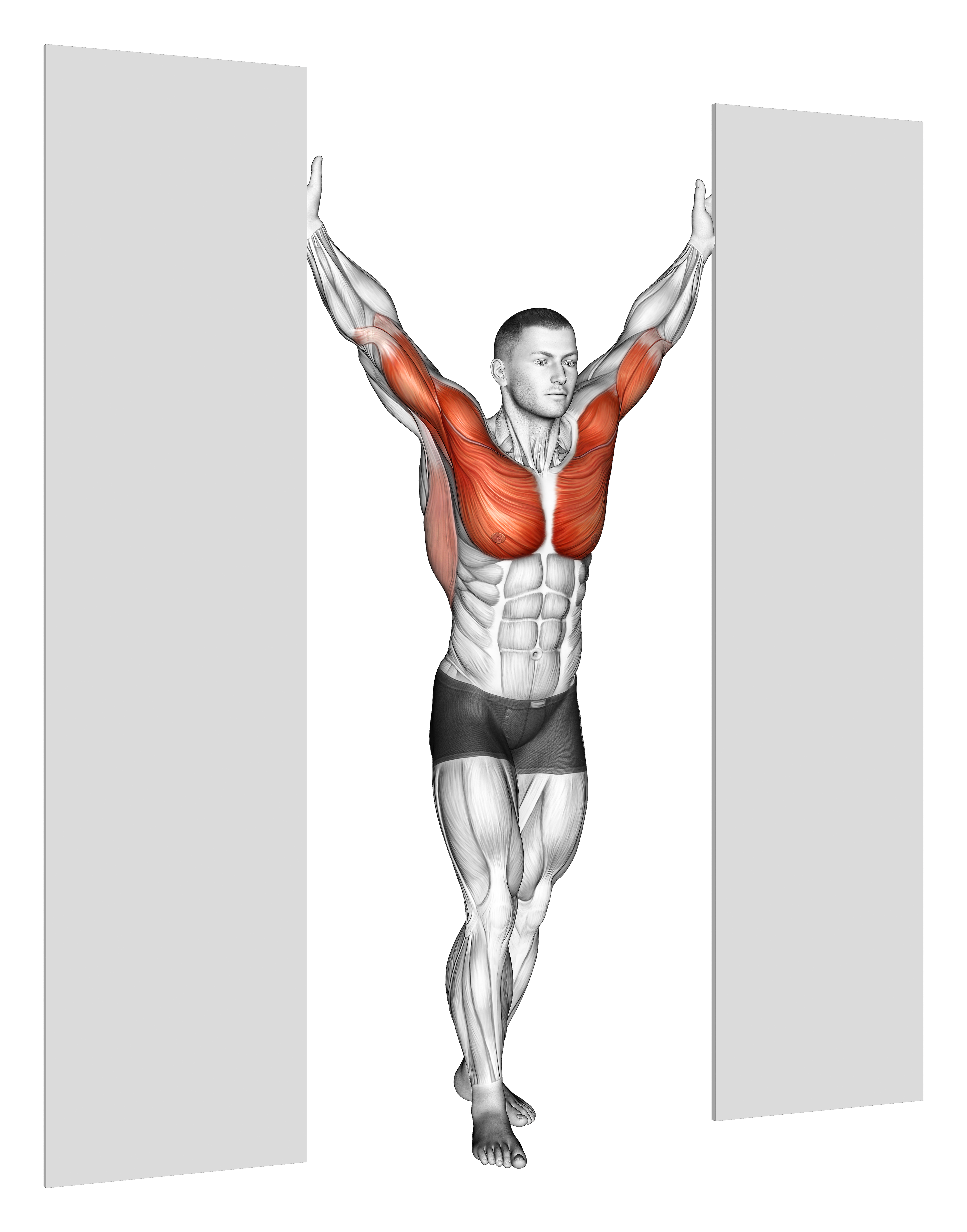 Standing Upright Shoulders Stretch