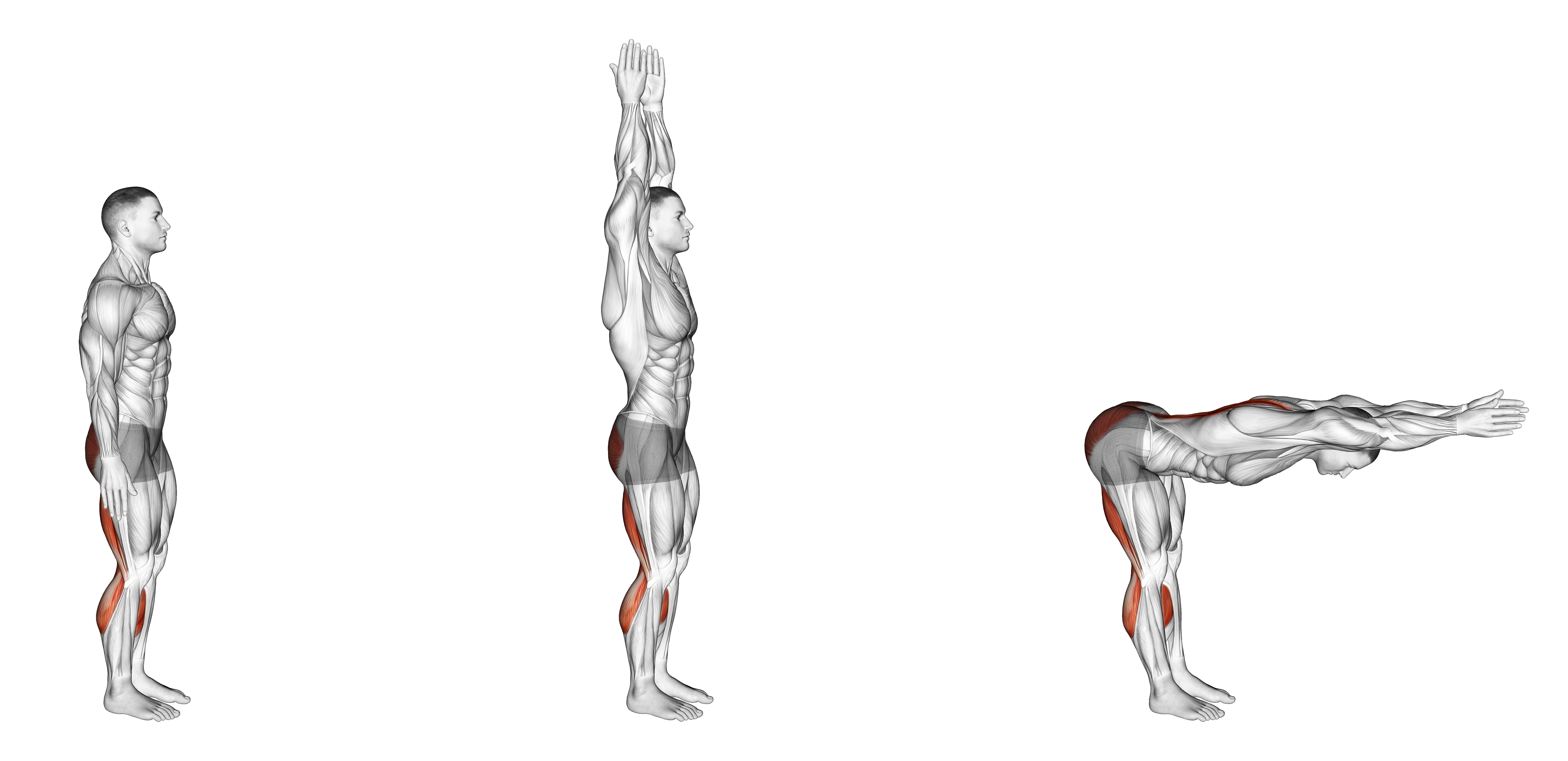Straight Angle Yoga Pose