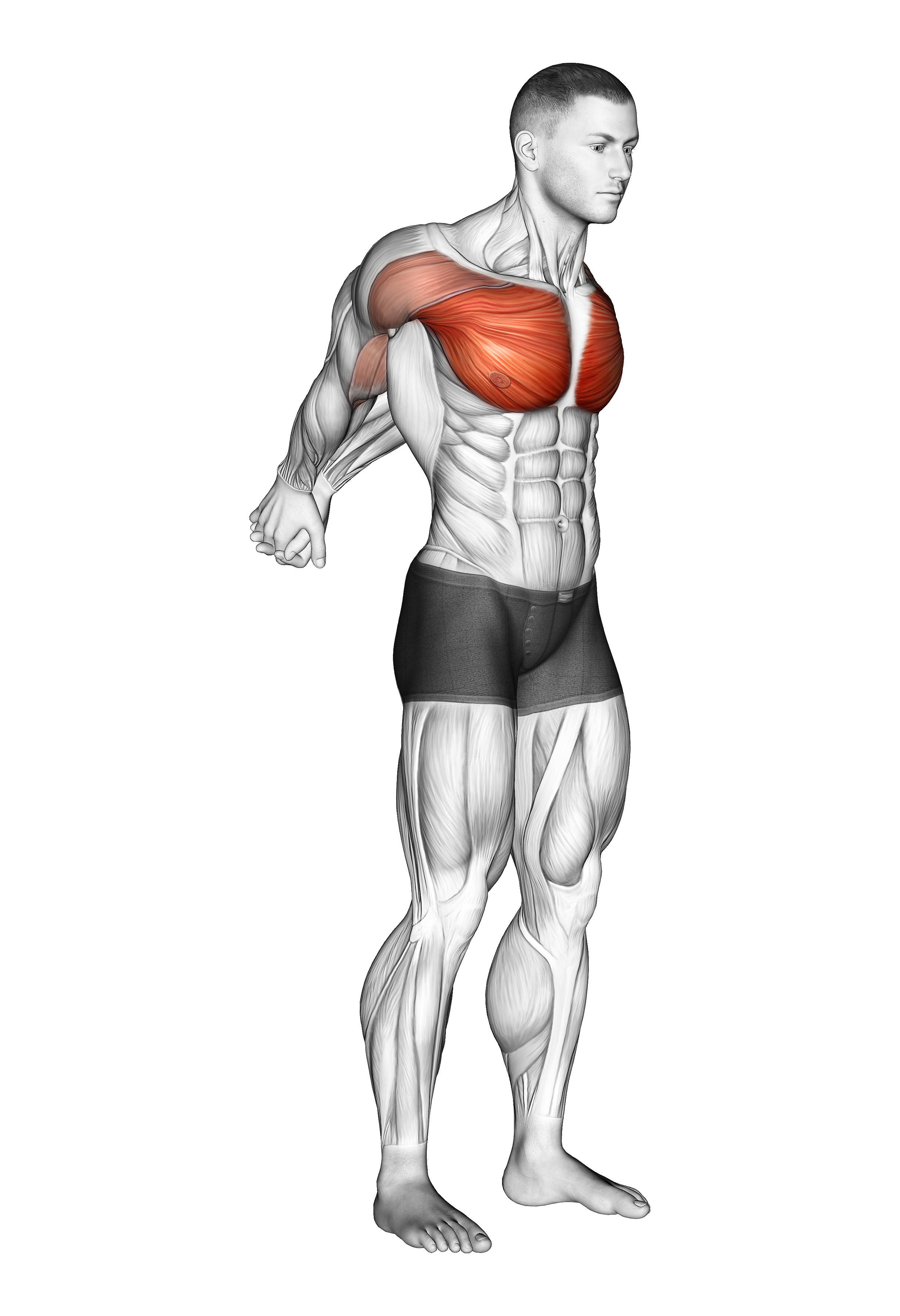 Straight Arms Backward Chest Sretch